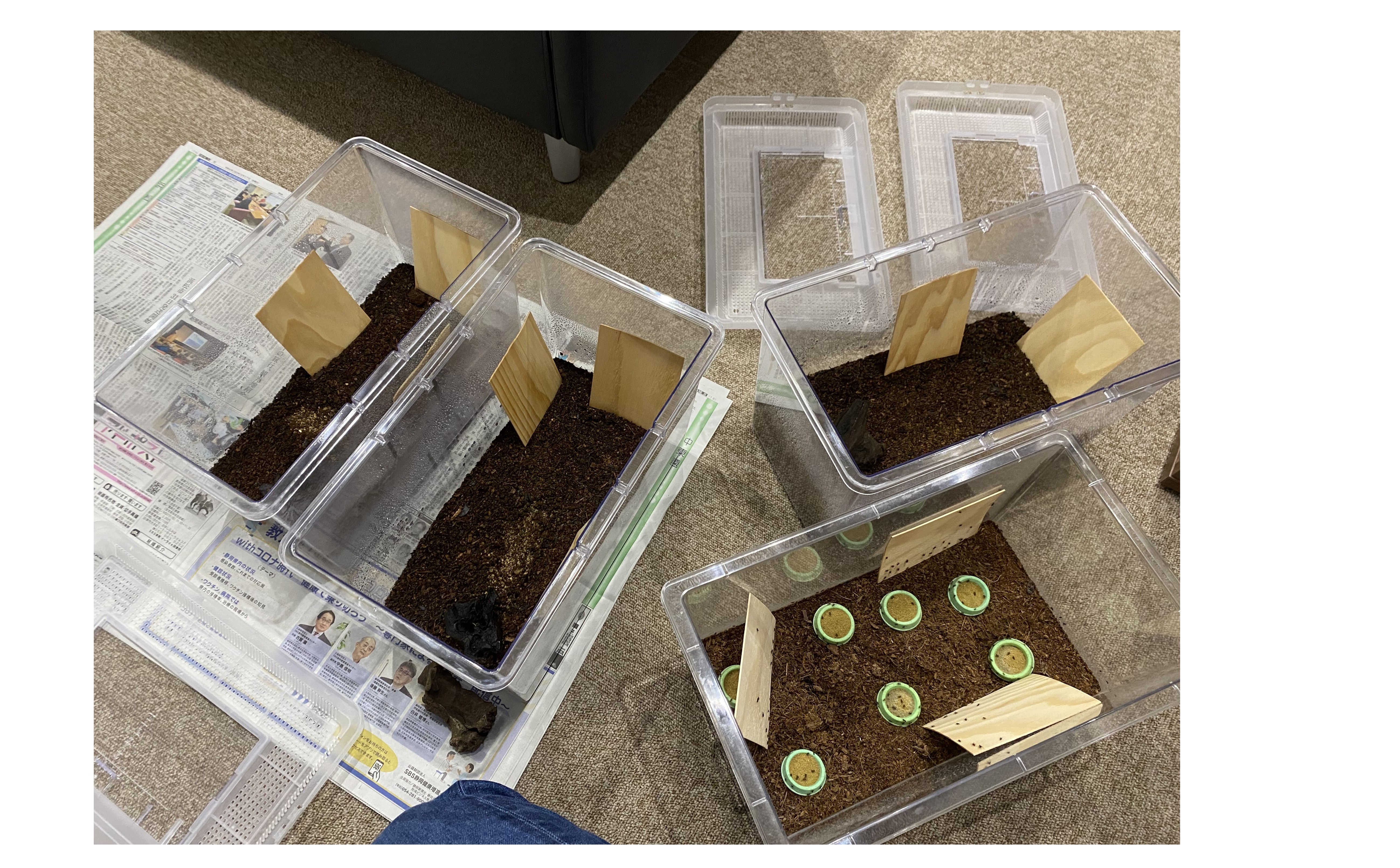 『１箱が４箱に・・・』