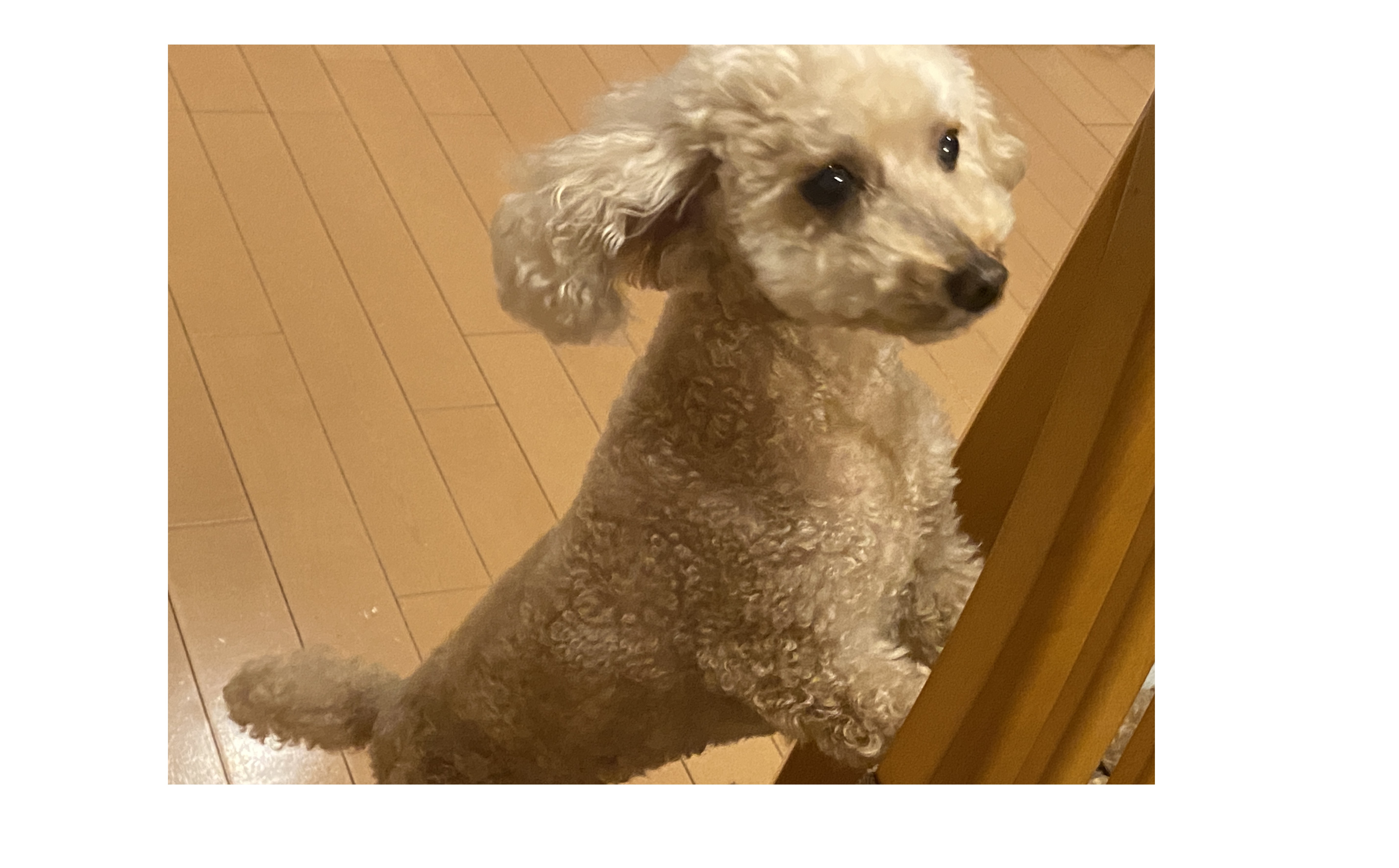 「売り方」ではなく、「選ばれ方」へ —— suidobiの営業哲学