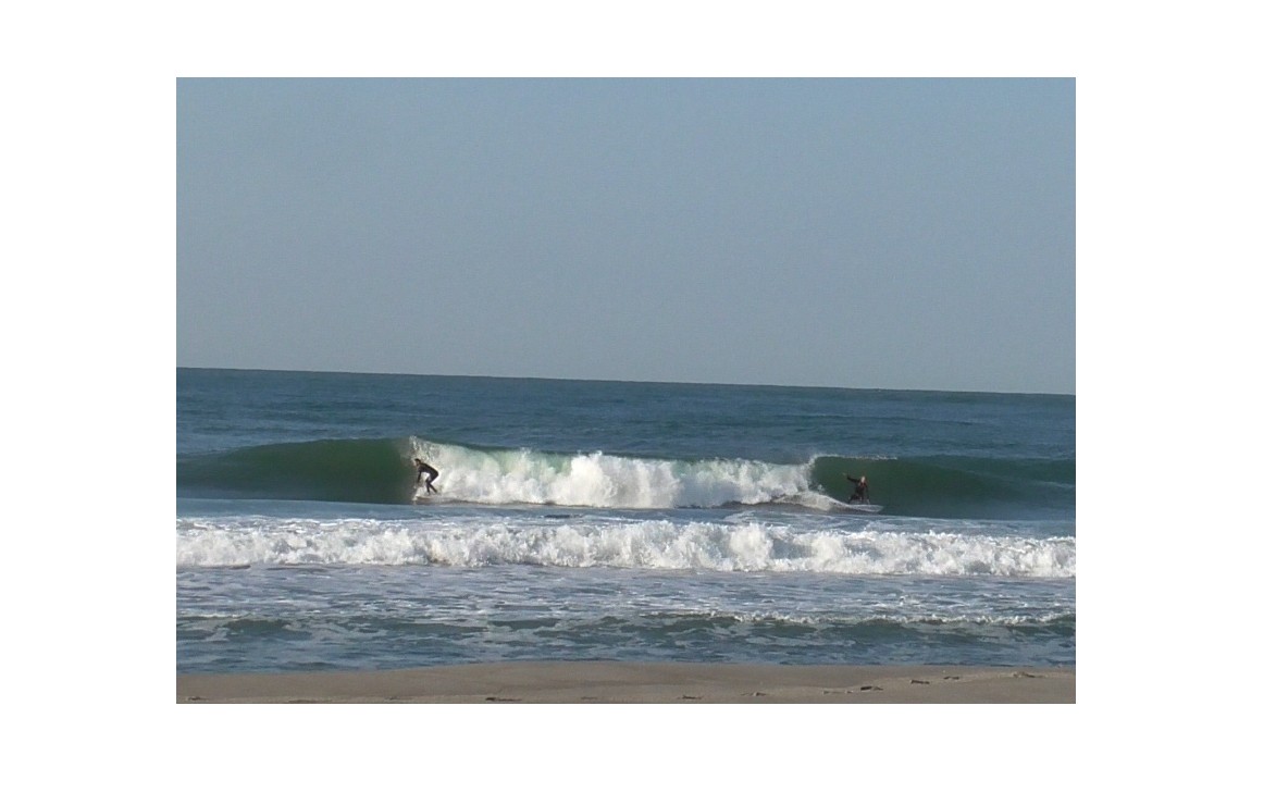 『目的と目標』