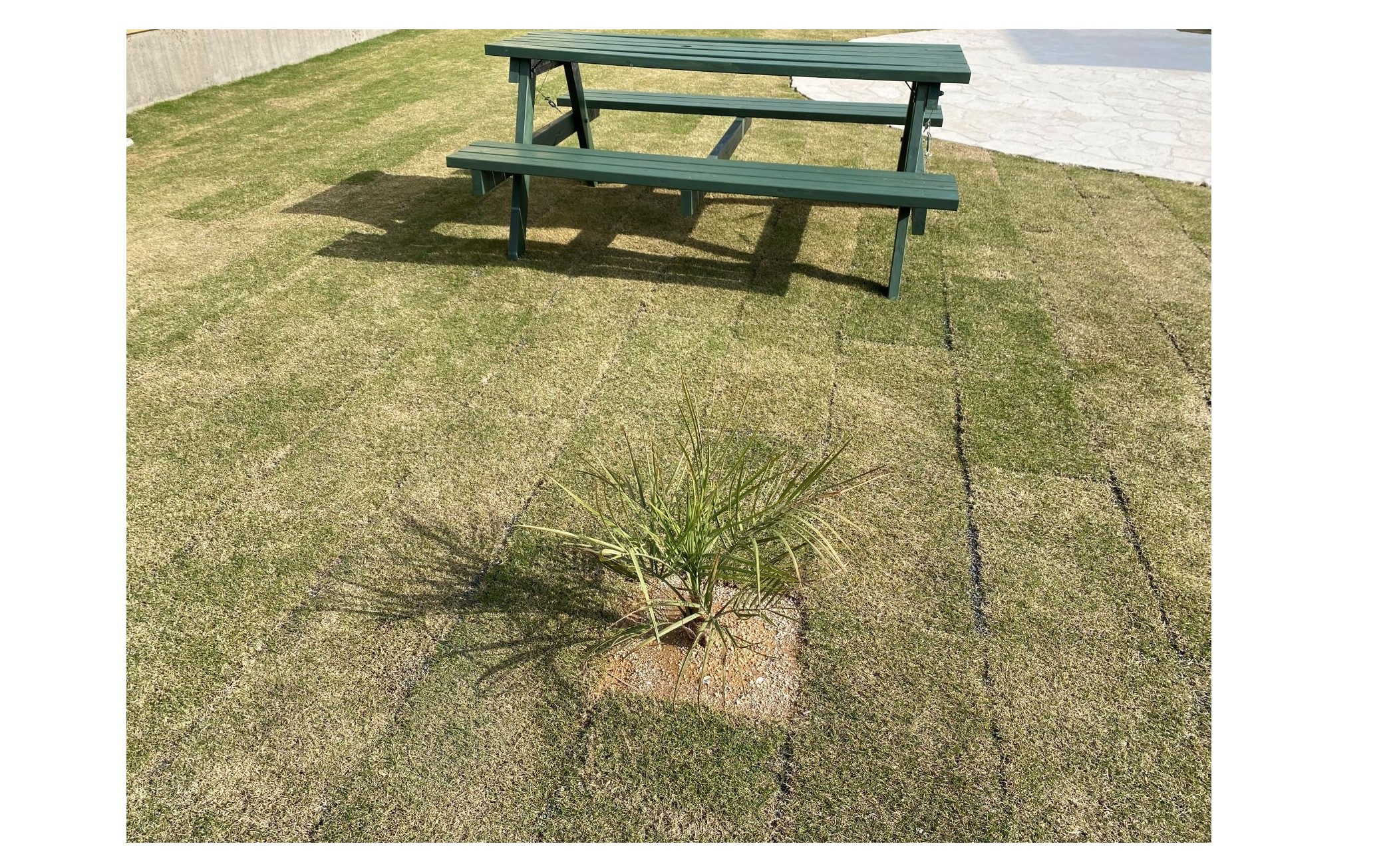 『リーダー会議』