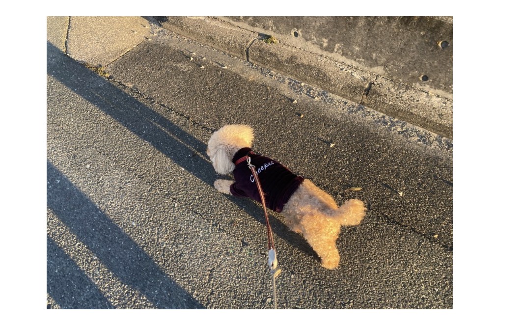 『suidobi第二章』