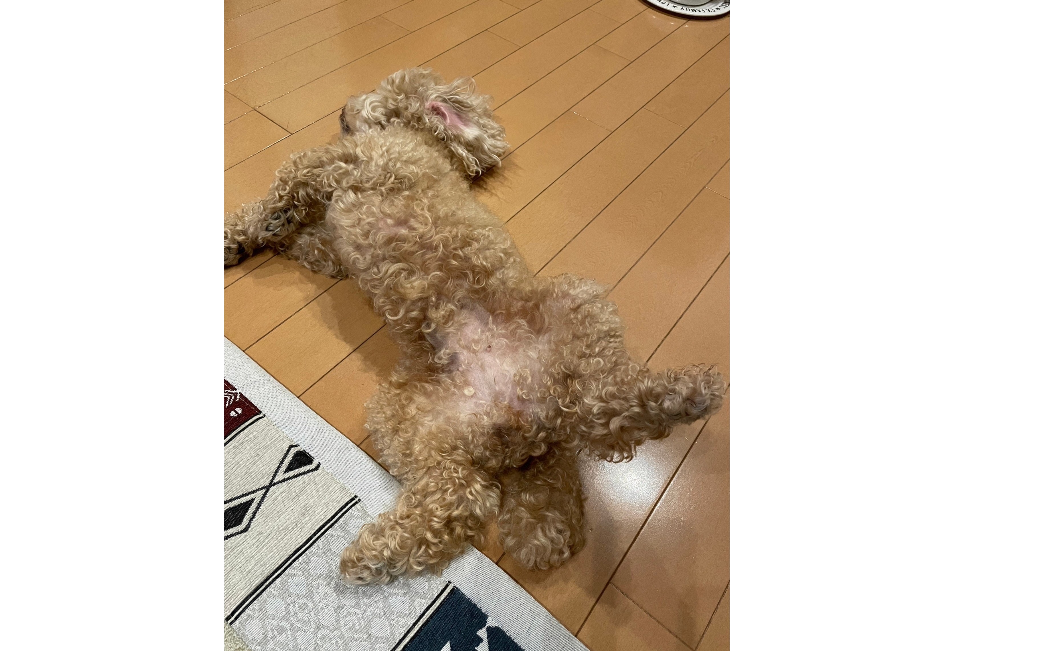 『不動産事業』