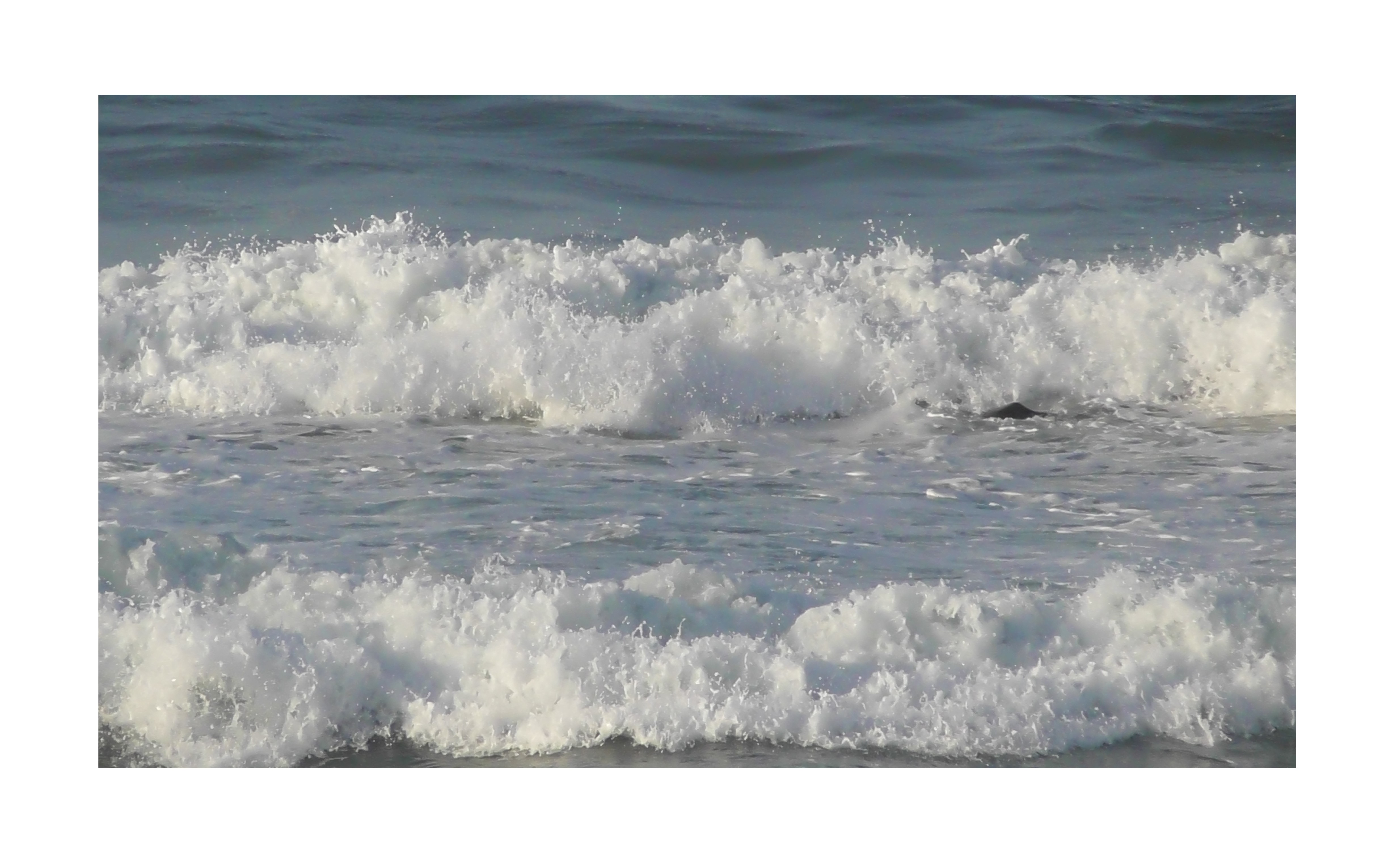 『クレーム対応』