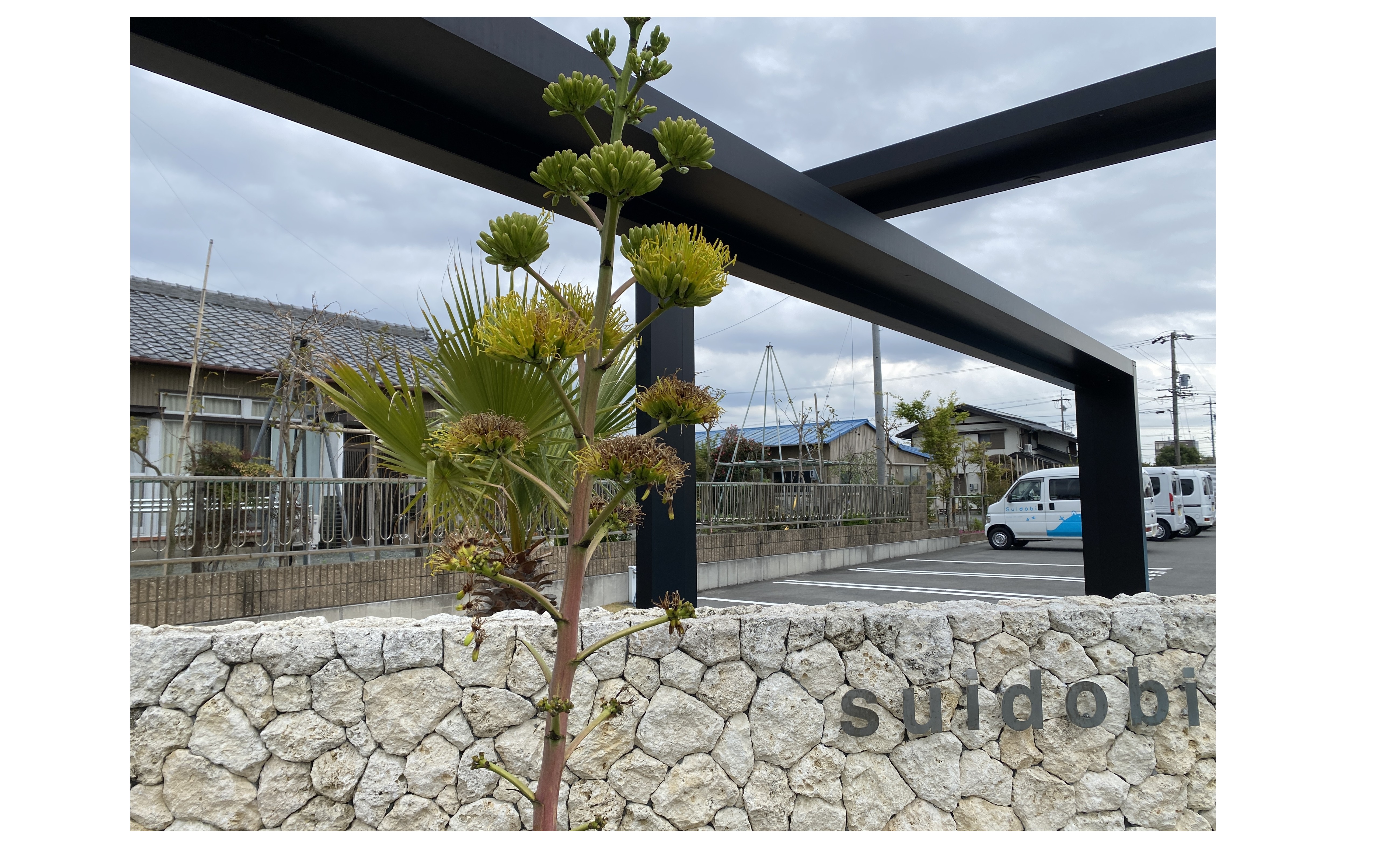 『ワクワクを有難う！』