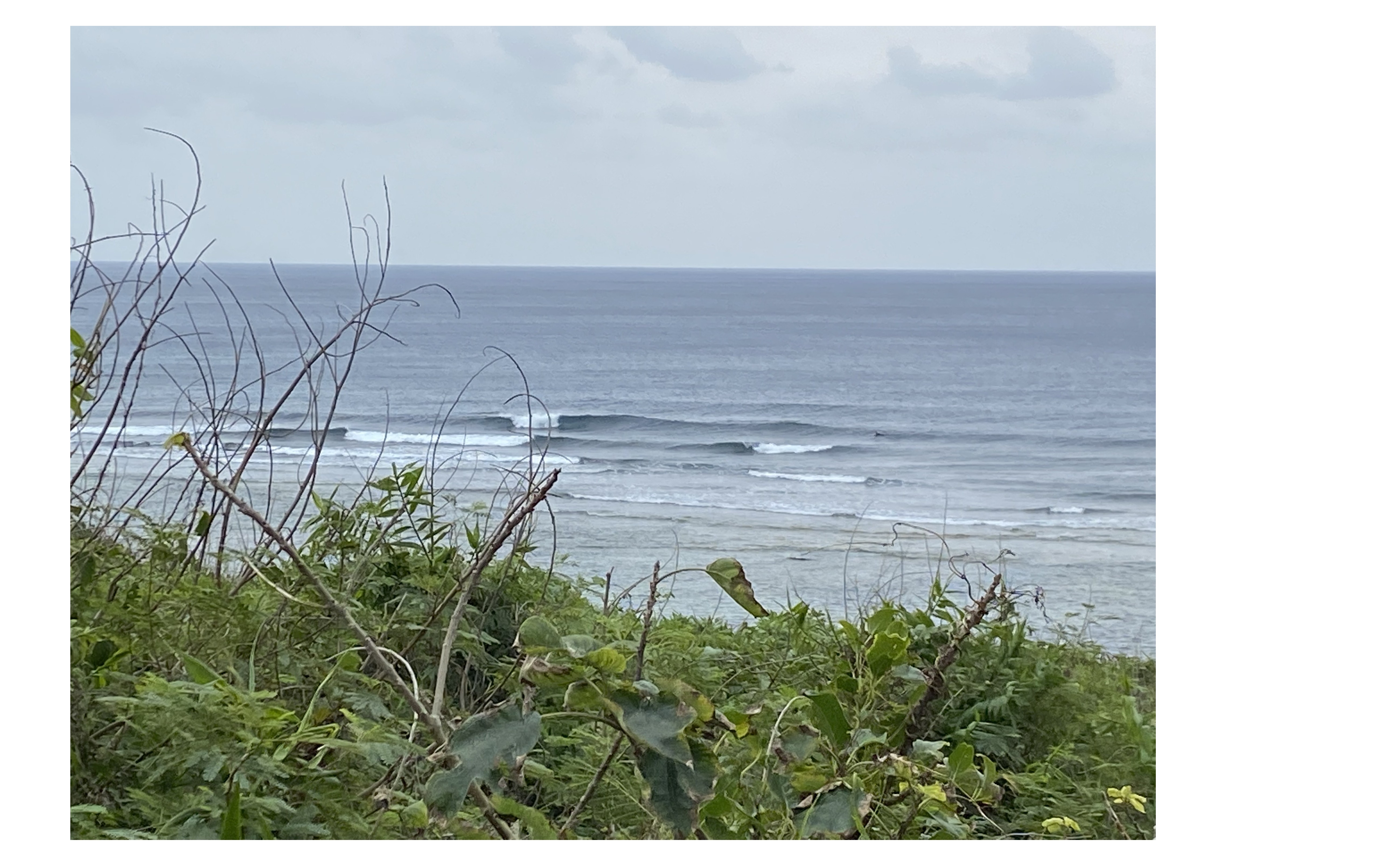 『ぼんやりと』