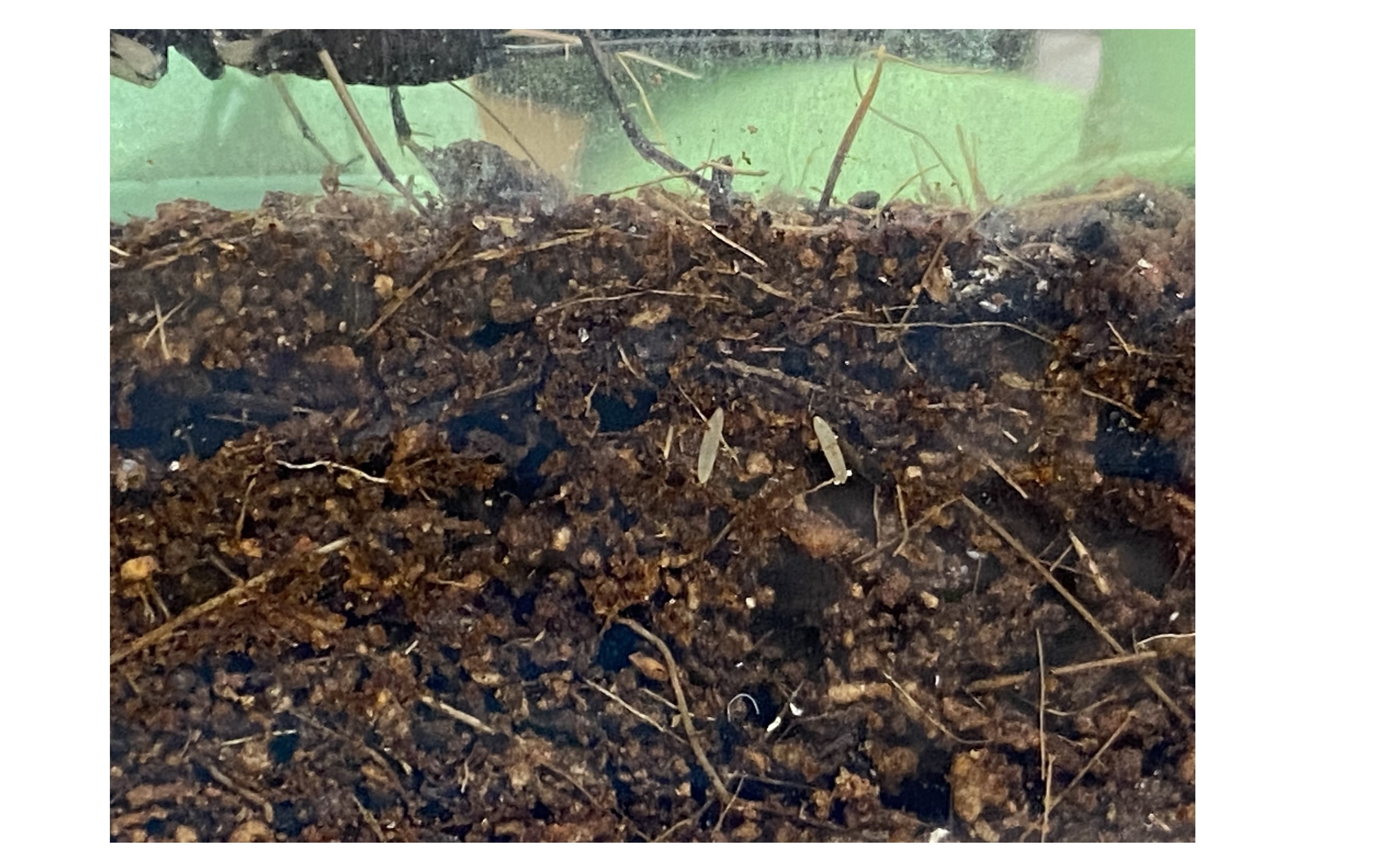 『考え方が分かる時』