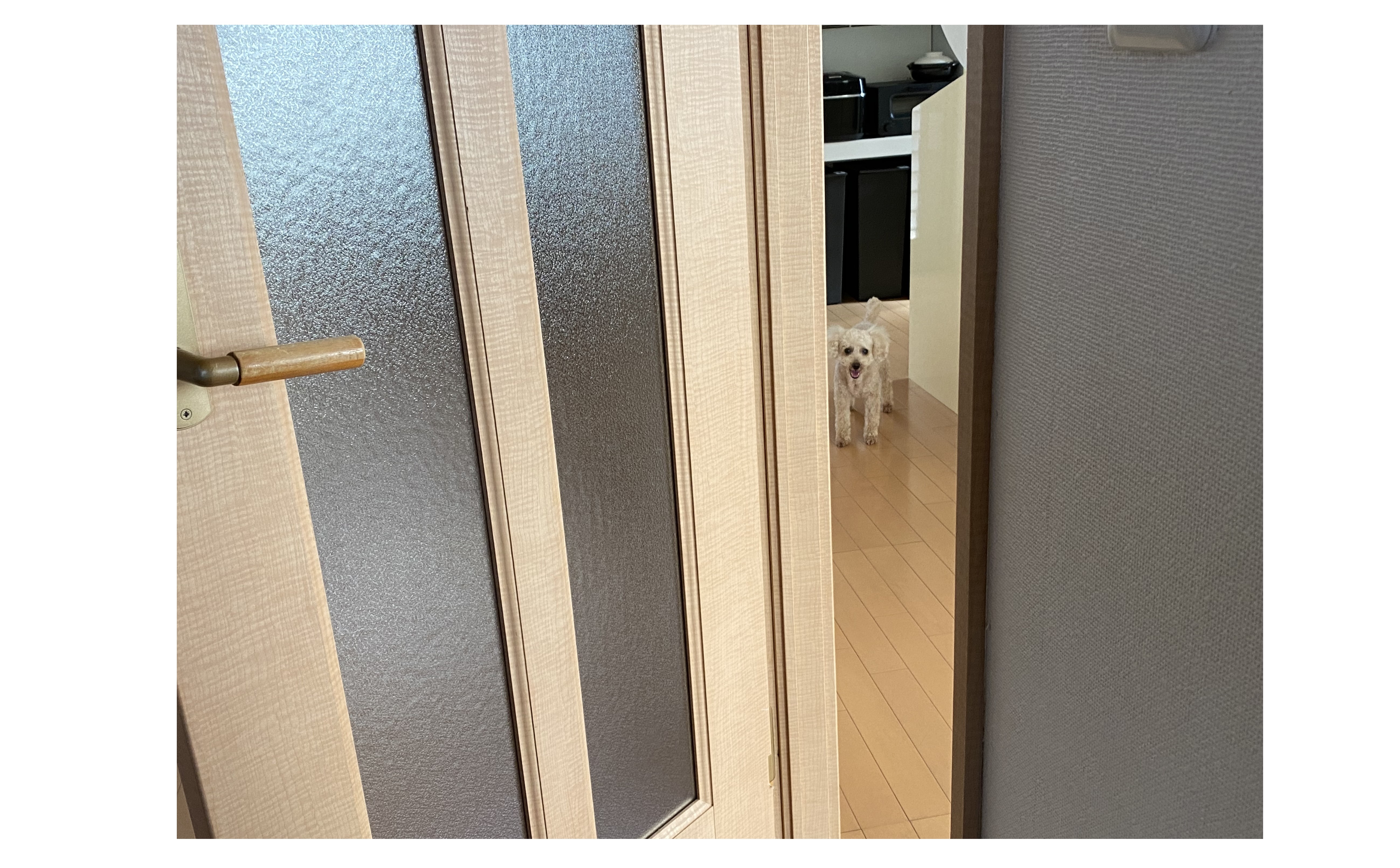 『毎日のお見送り』