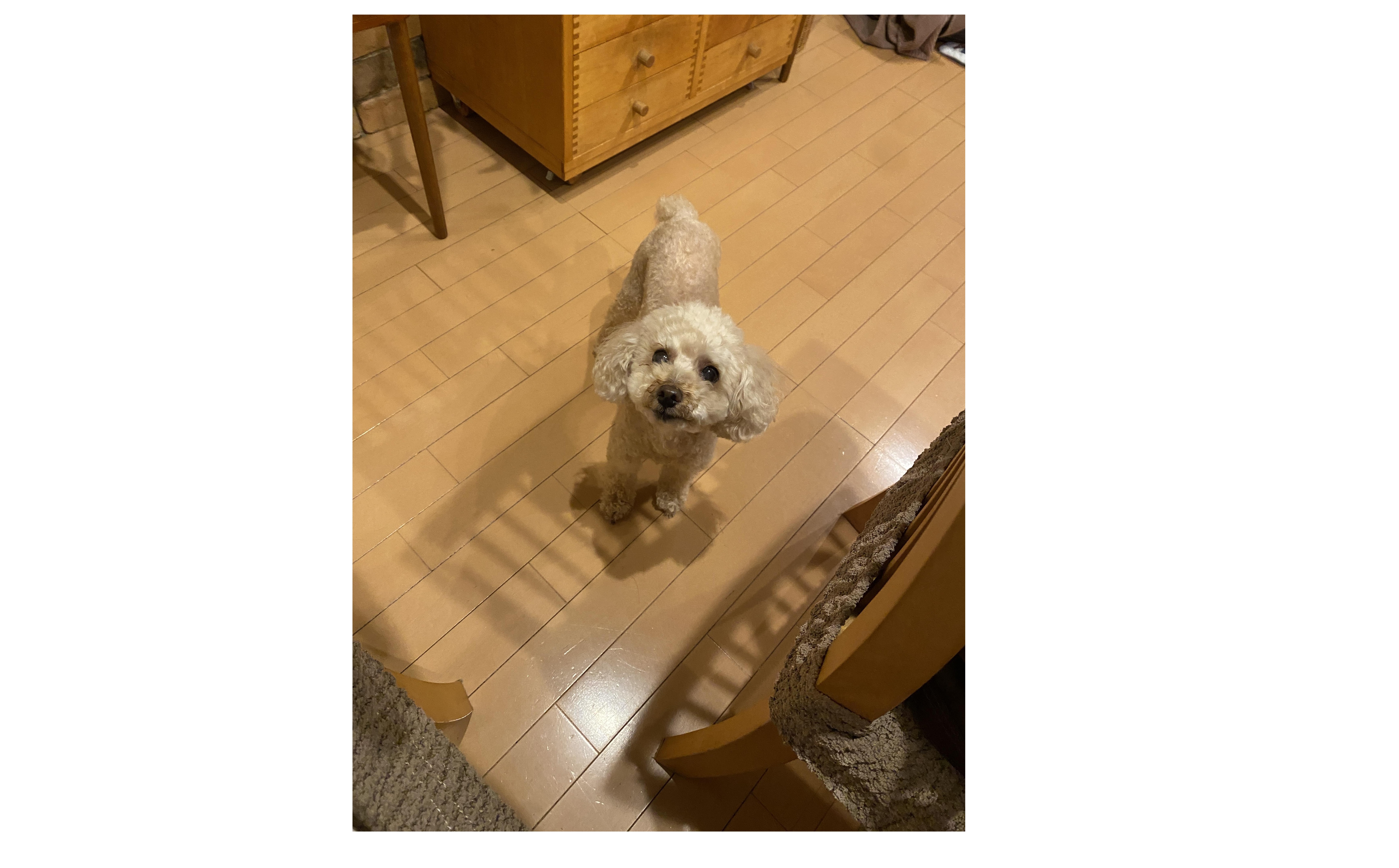 『もうすぐ選挙・・・』