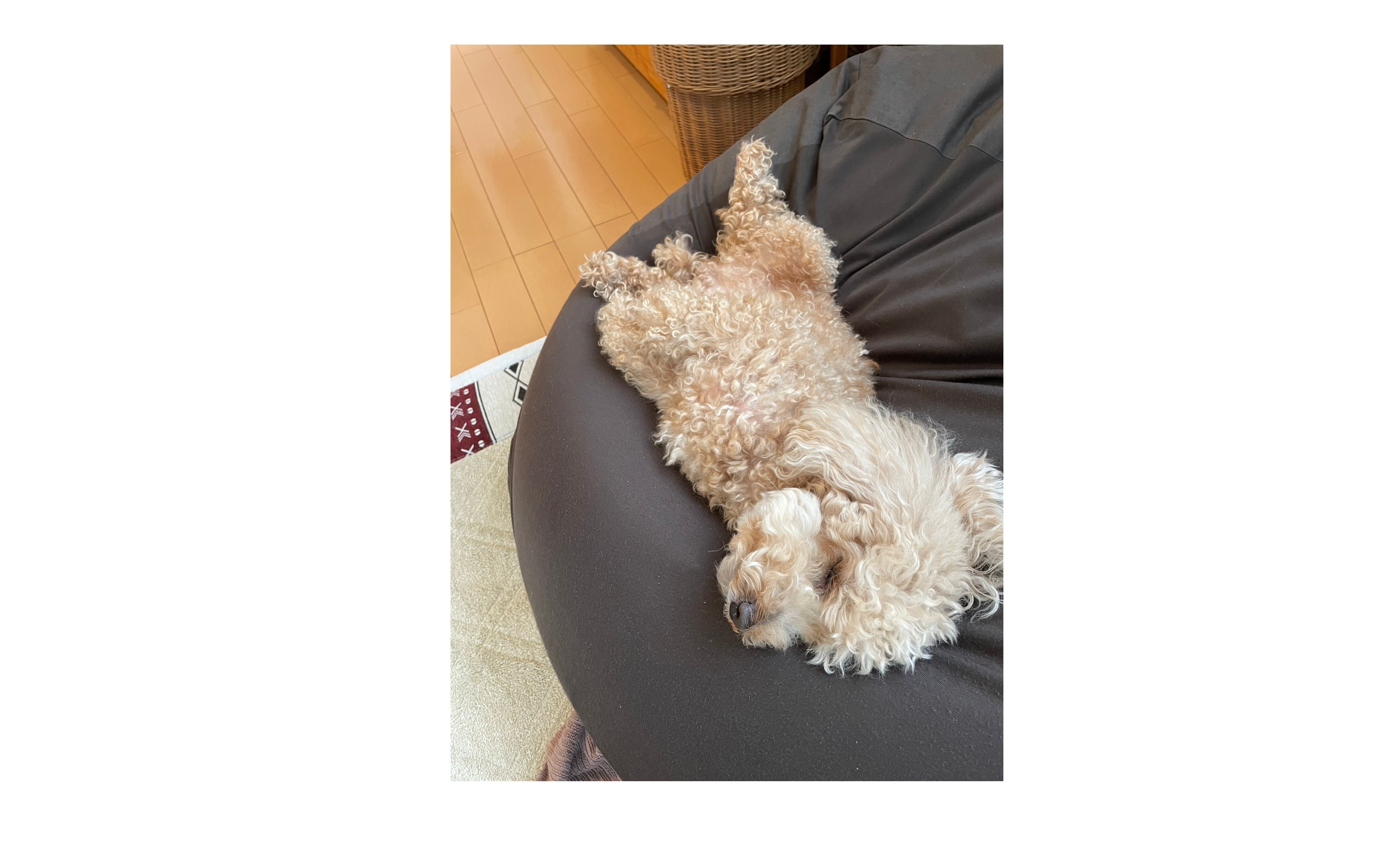 『自由と好き勝手』