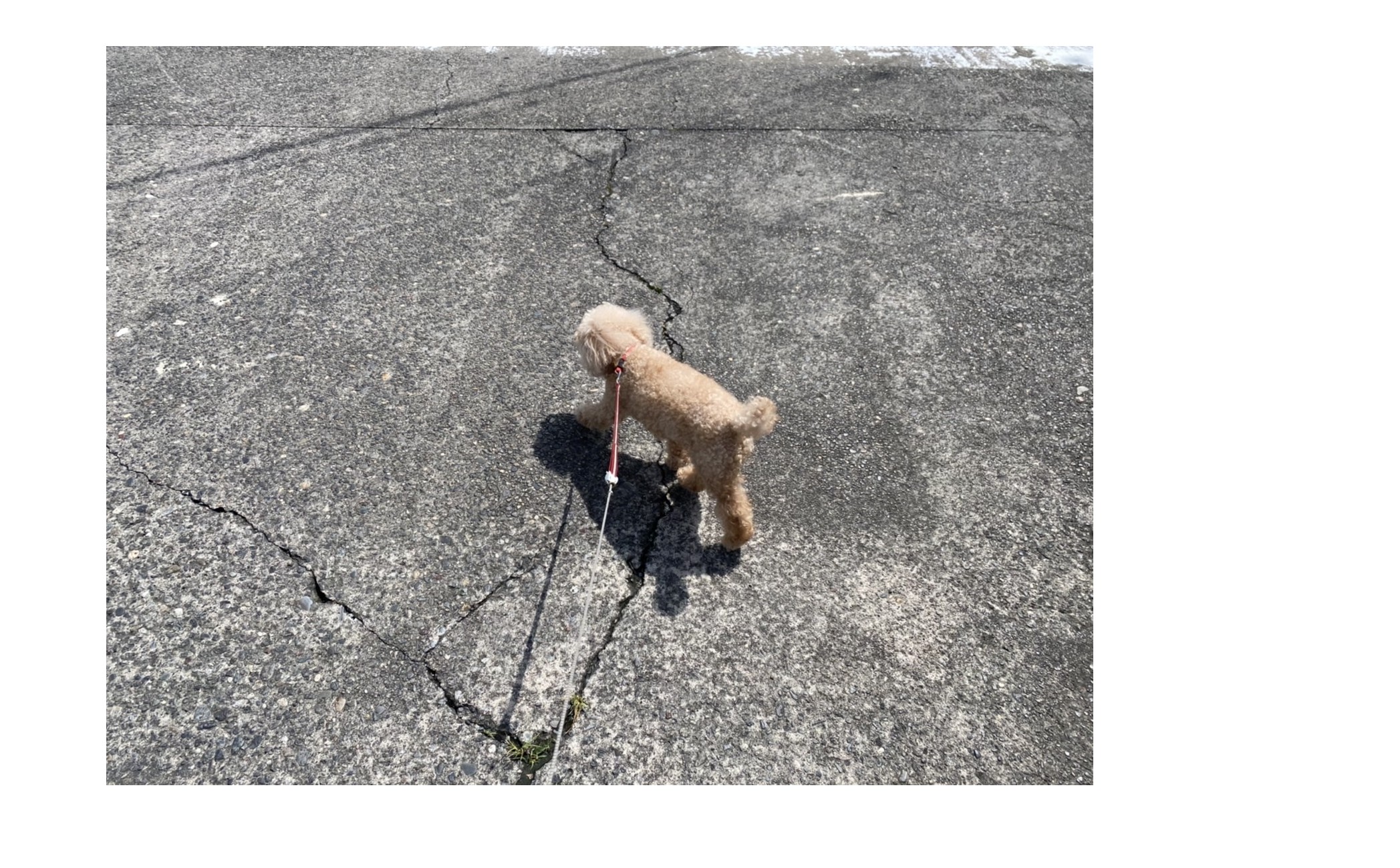 『熱い・・・・』