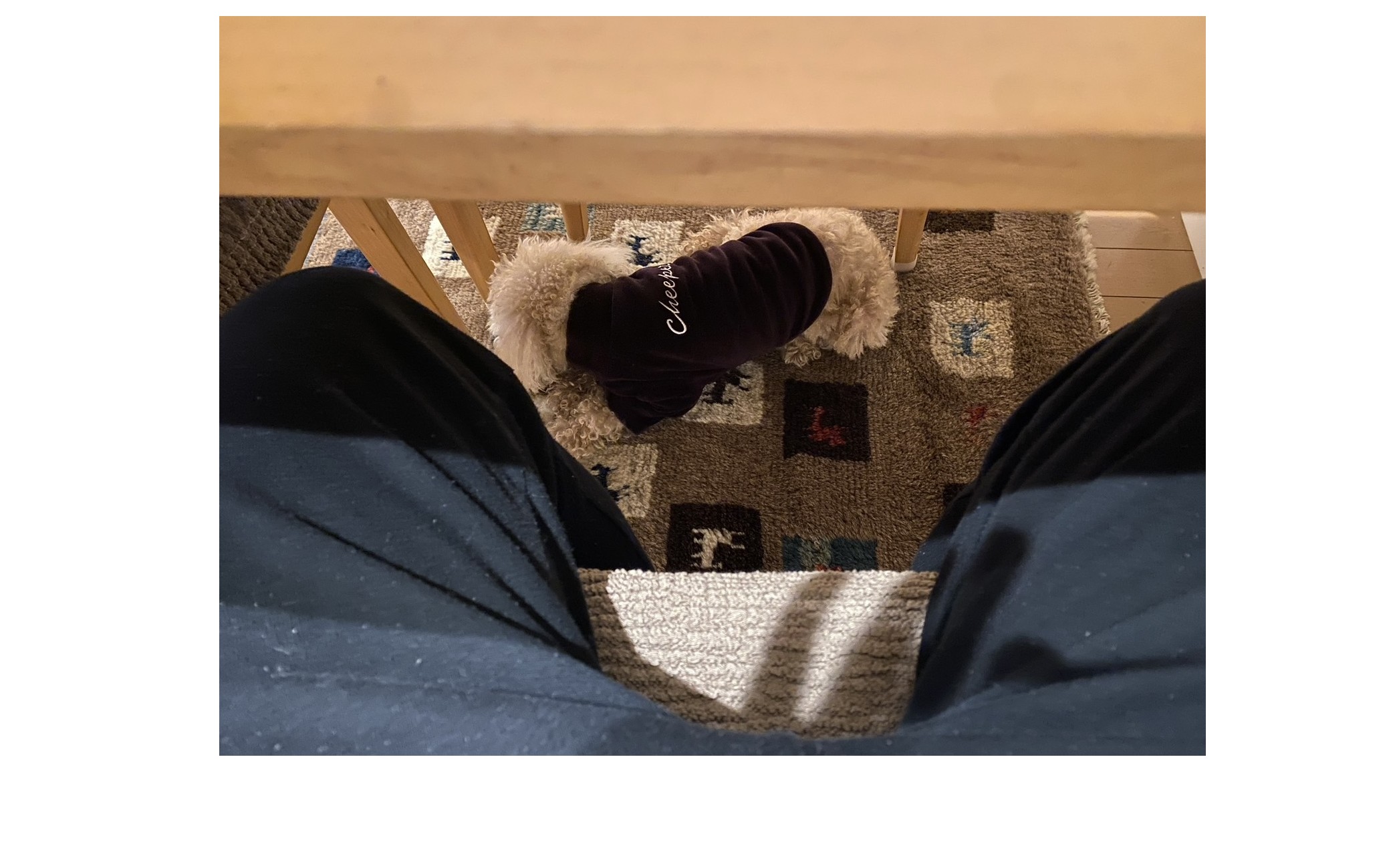 『５０代、６０代が一番仕事が愉しい』