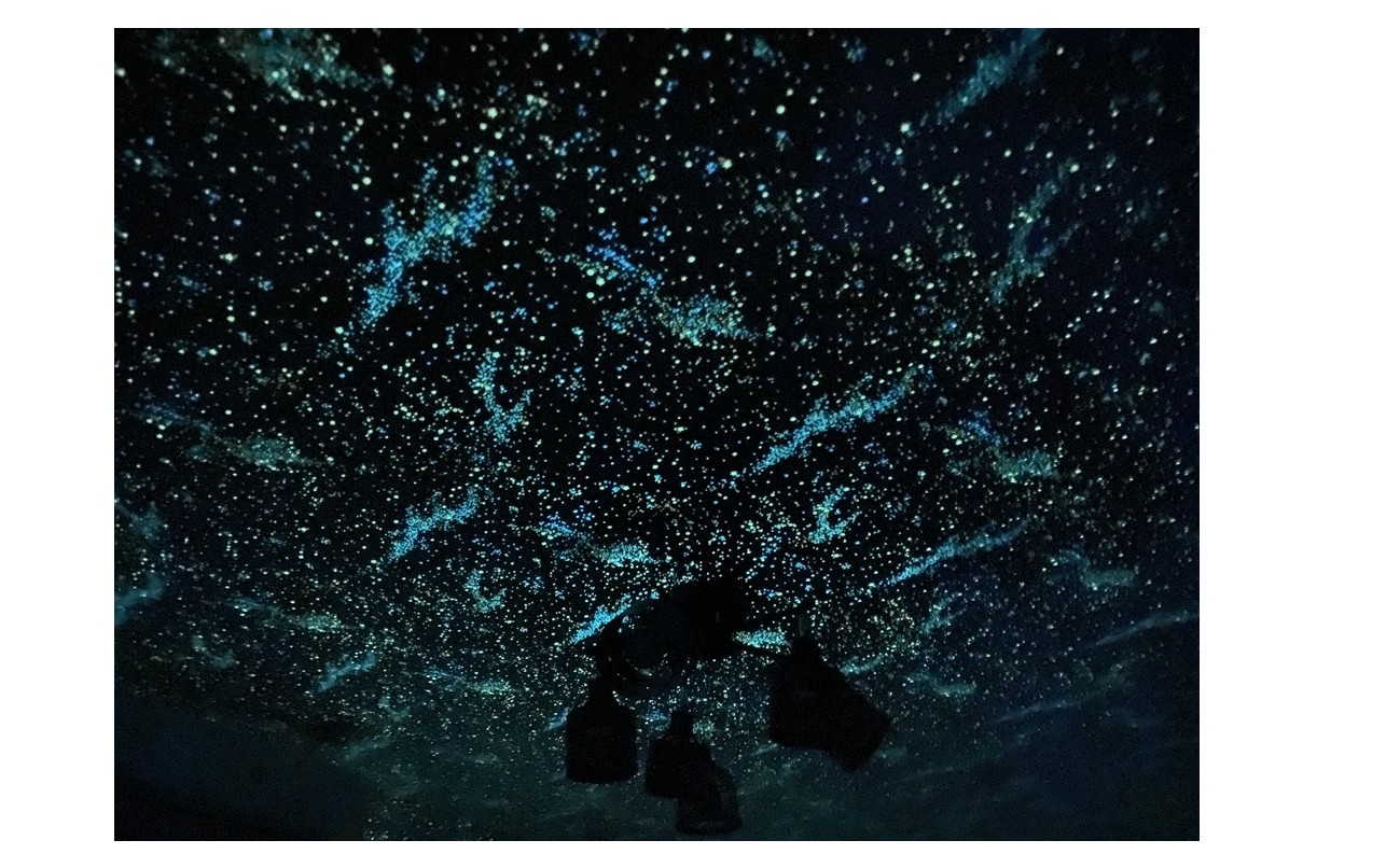 『新人の成長』