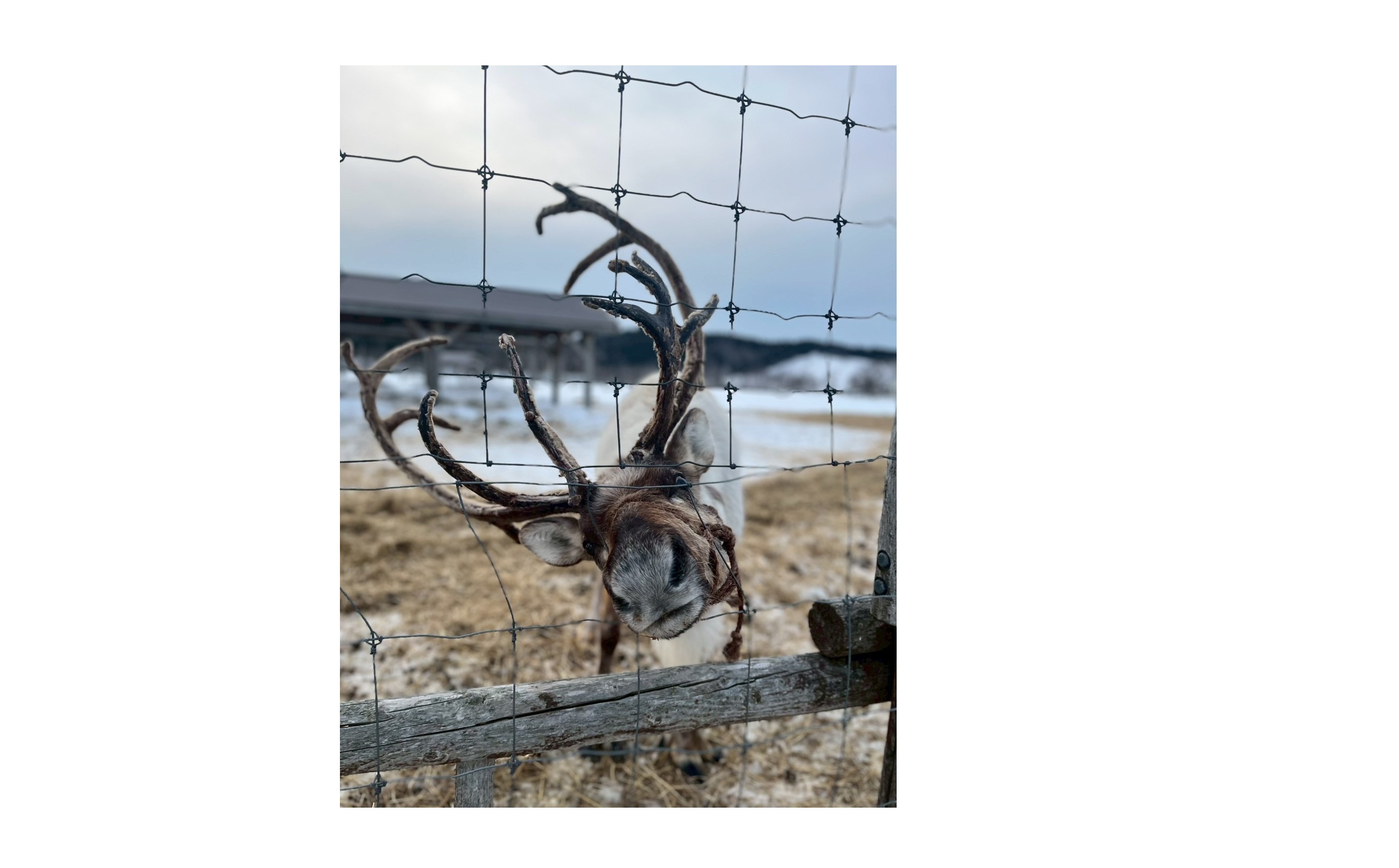 『本質に目を向ける』