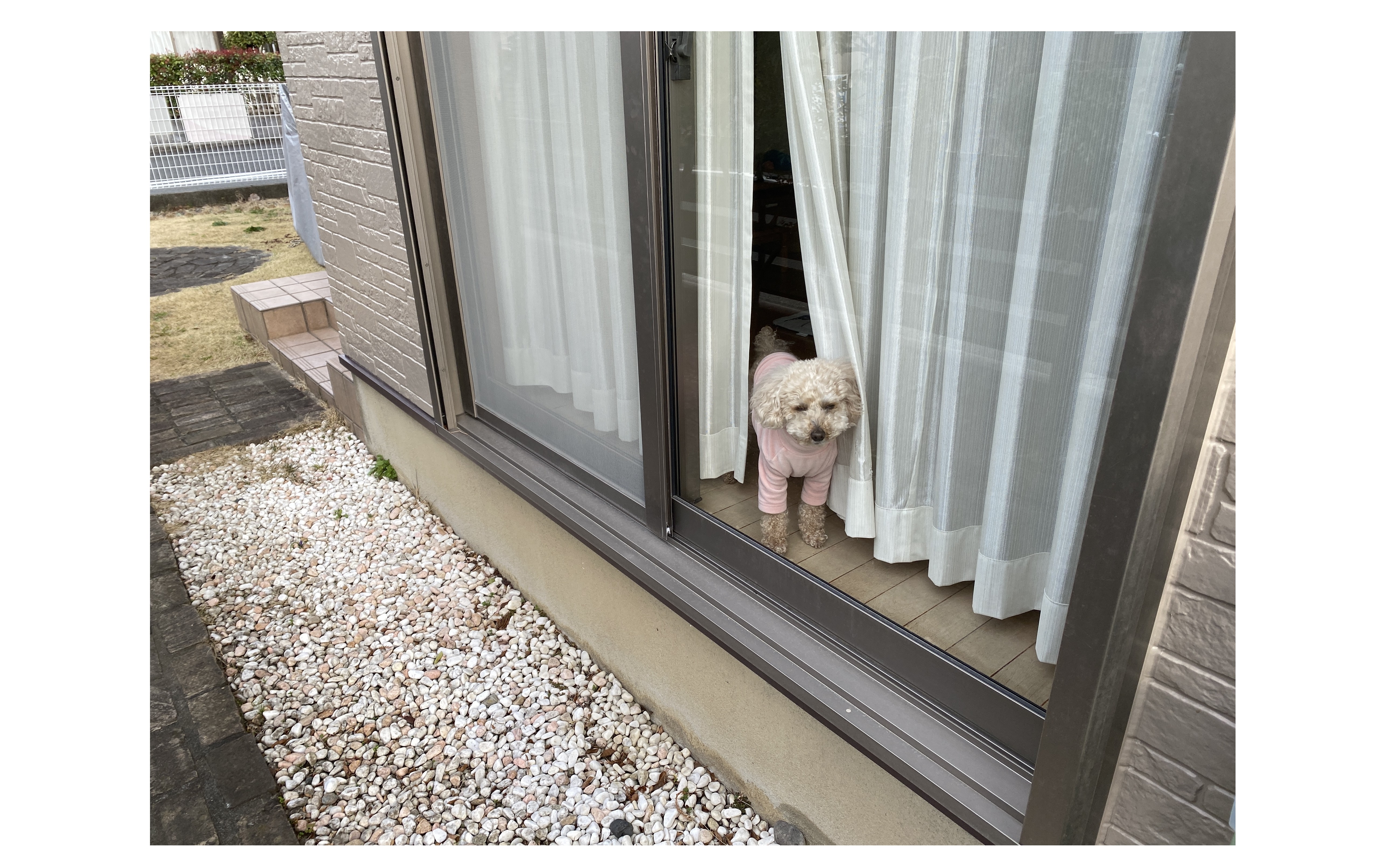 『未来を語らう』