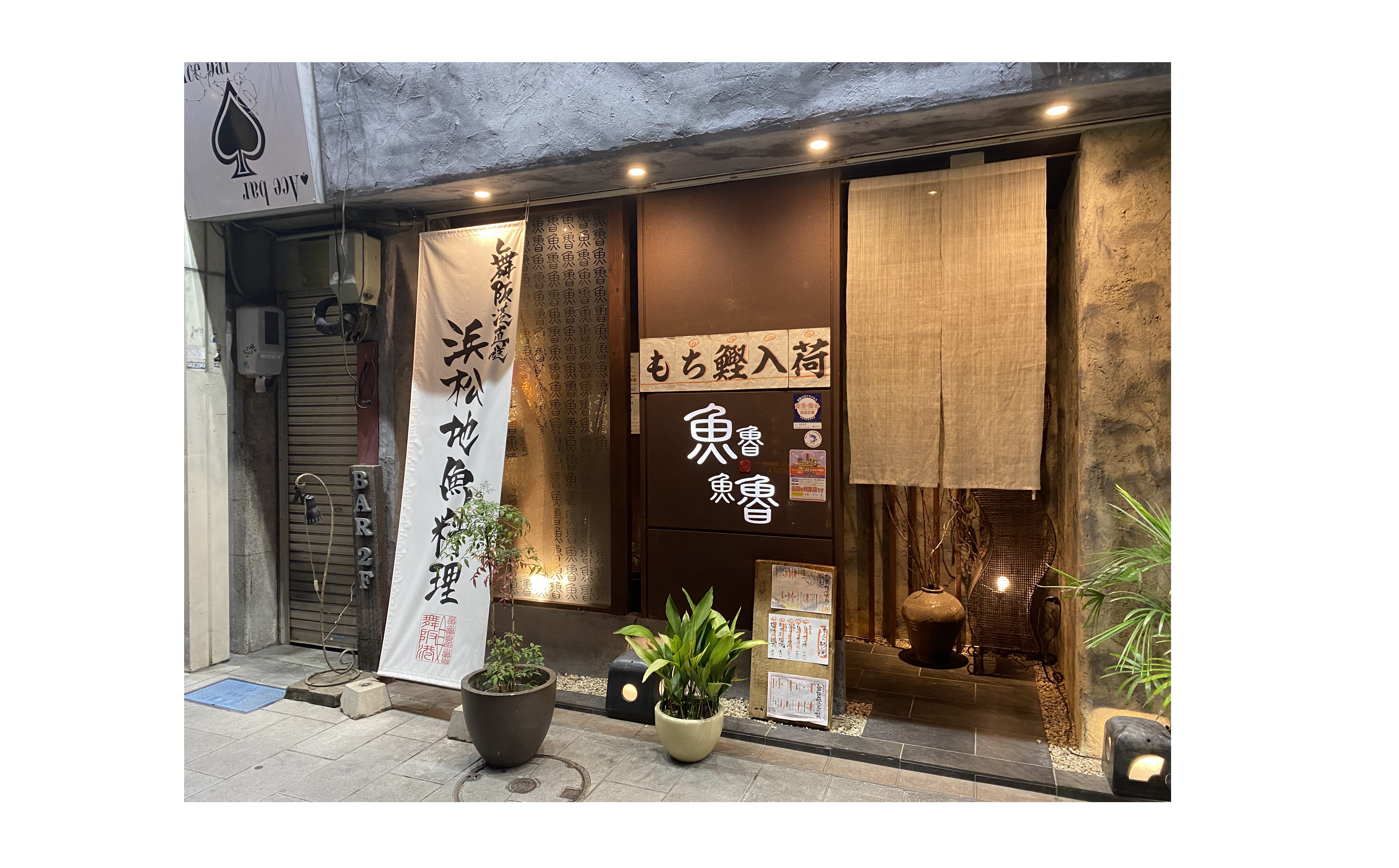 『もちガツオ』