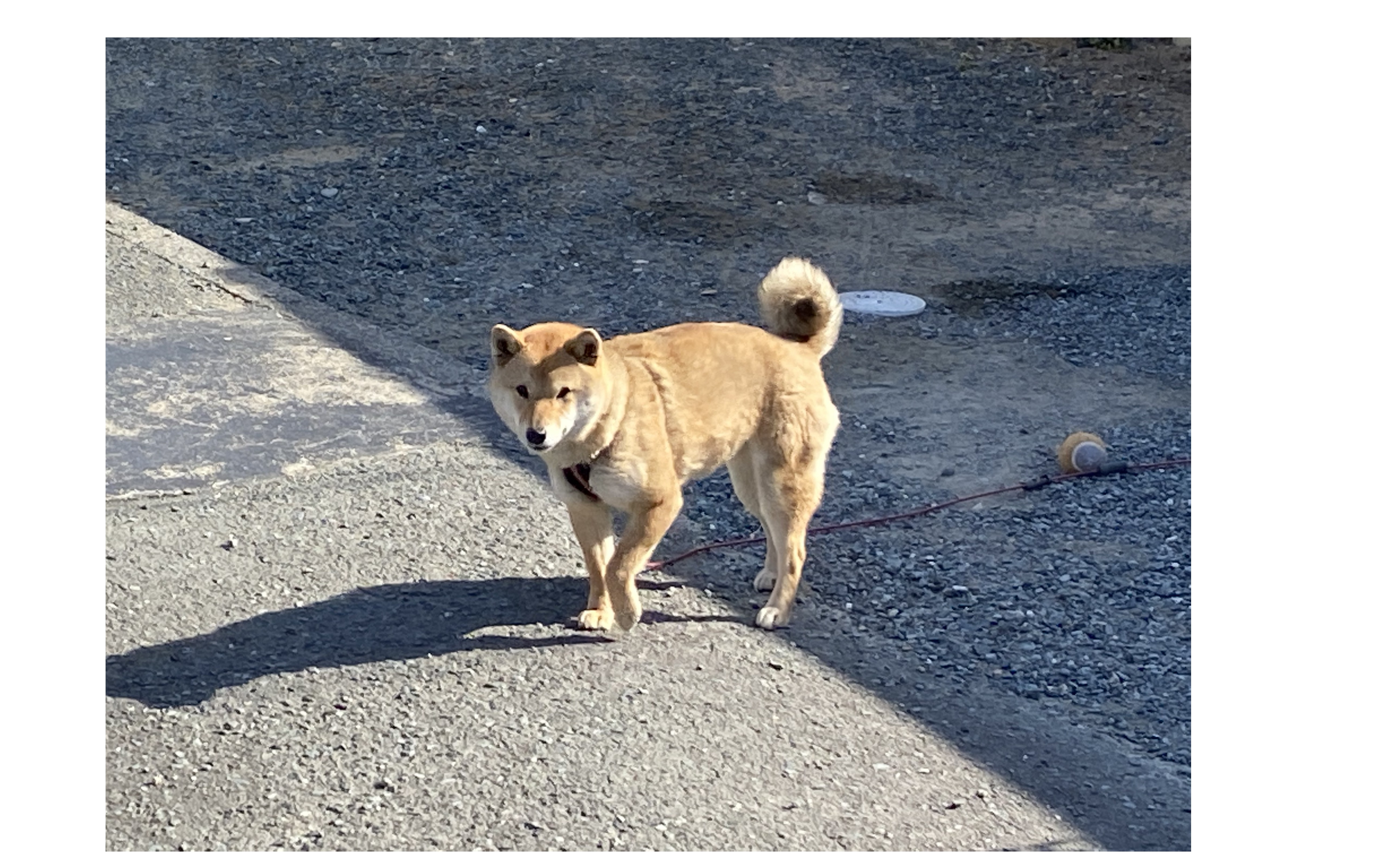 『インターンの季節がやってきた』