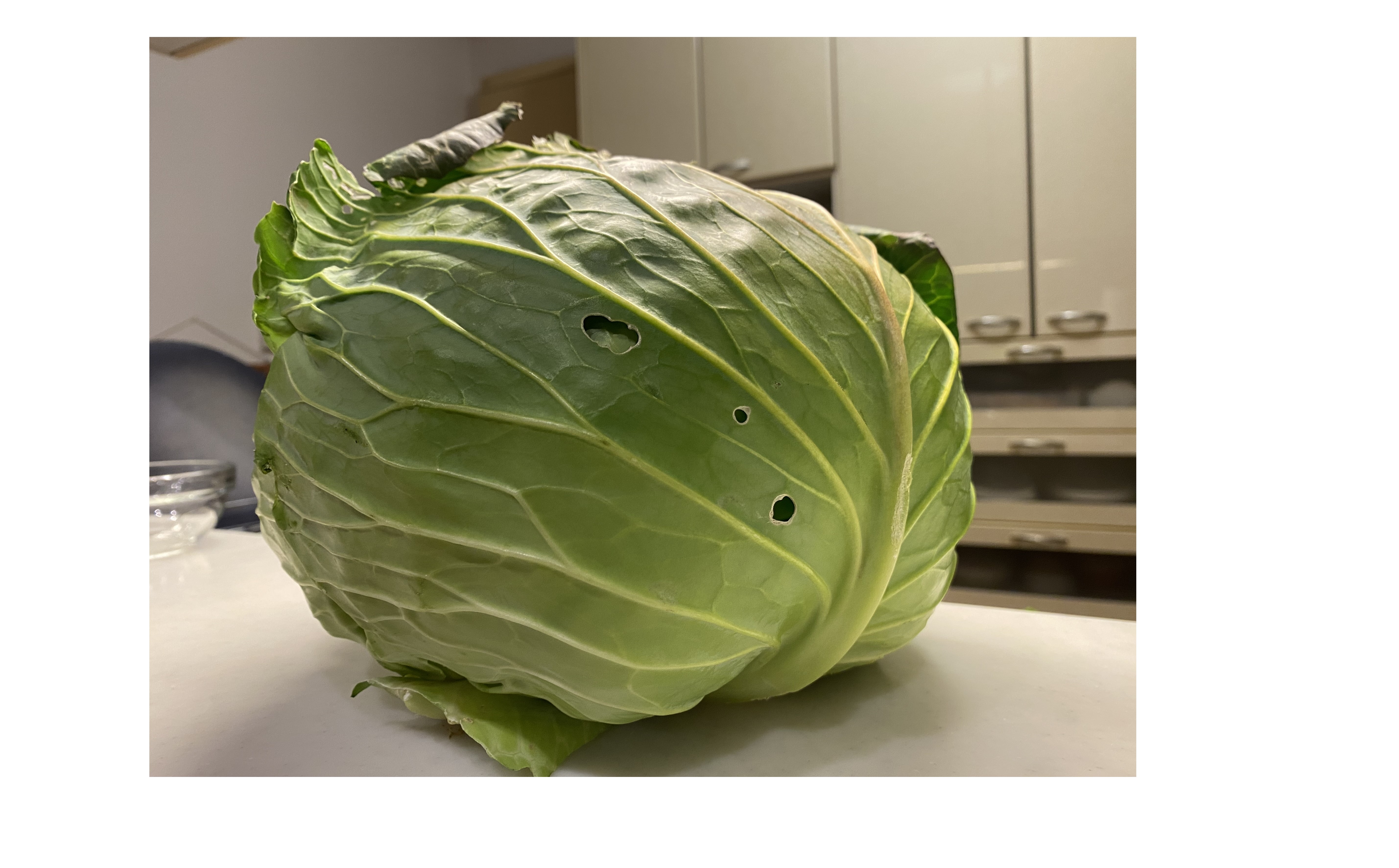 『個性を活かす』