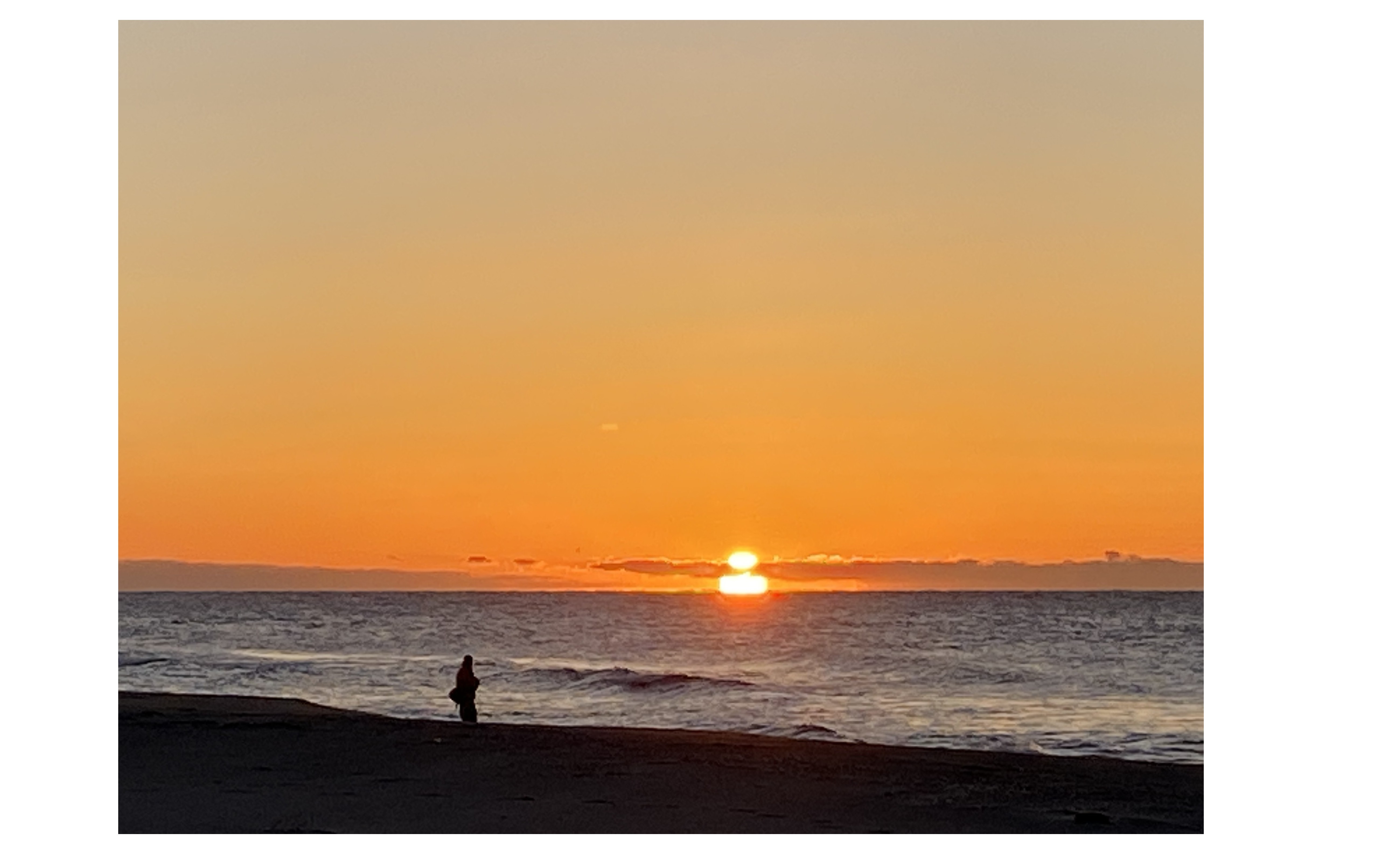 『奇跡のダルマ朝日』