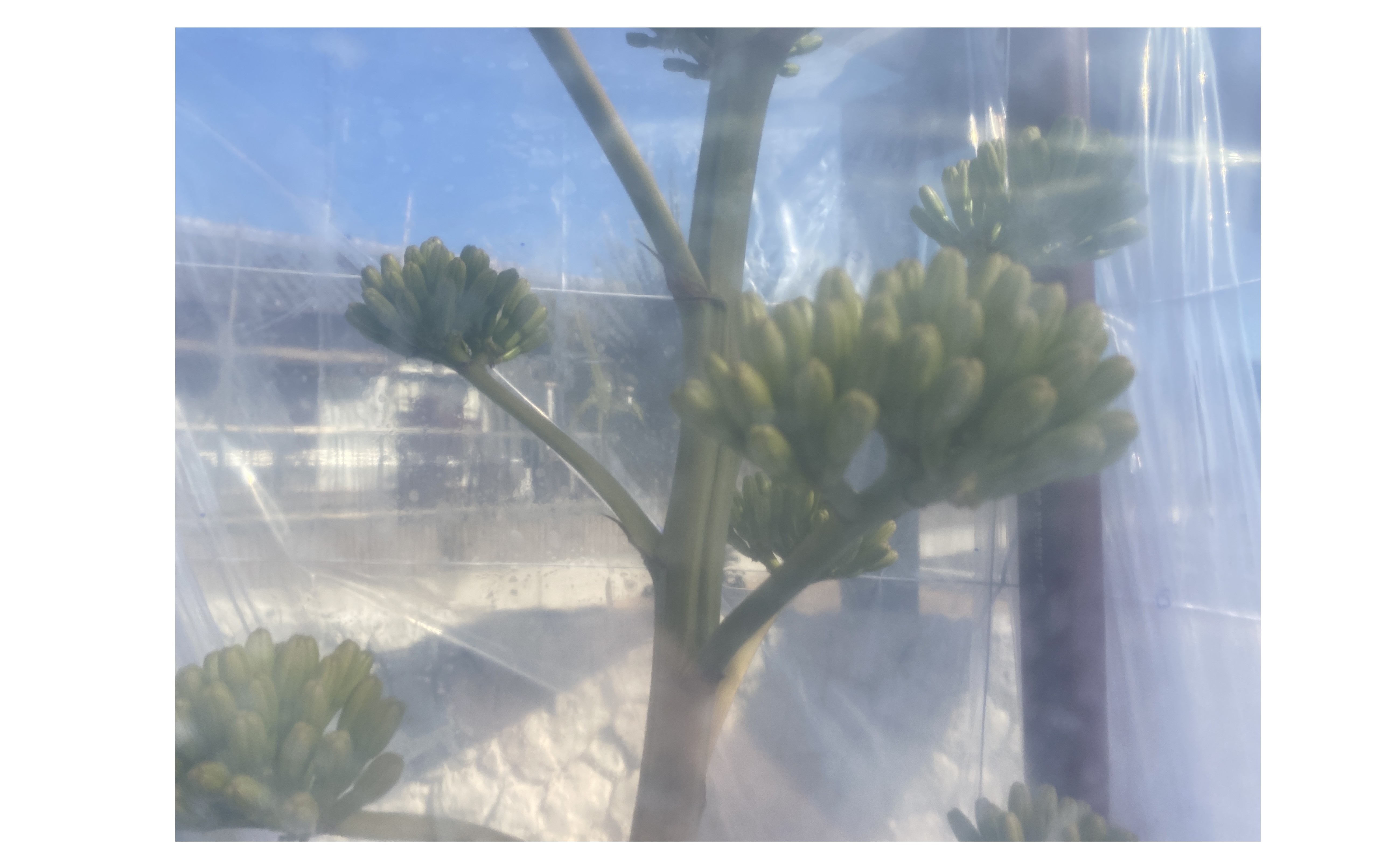 『生き残る会社は？』