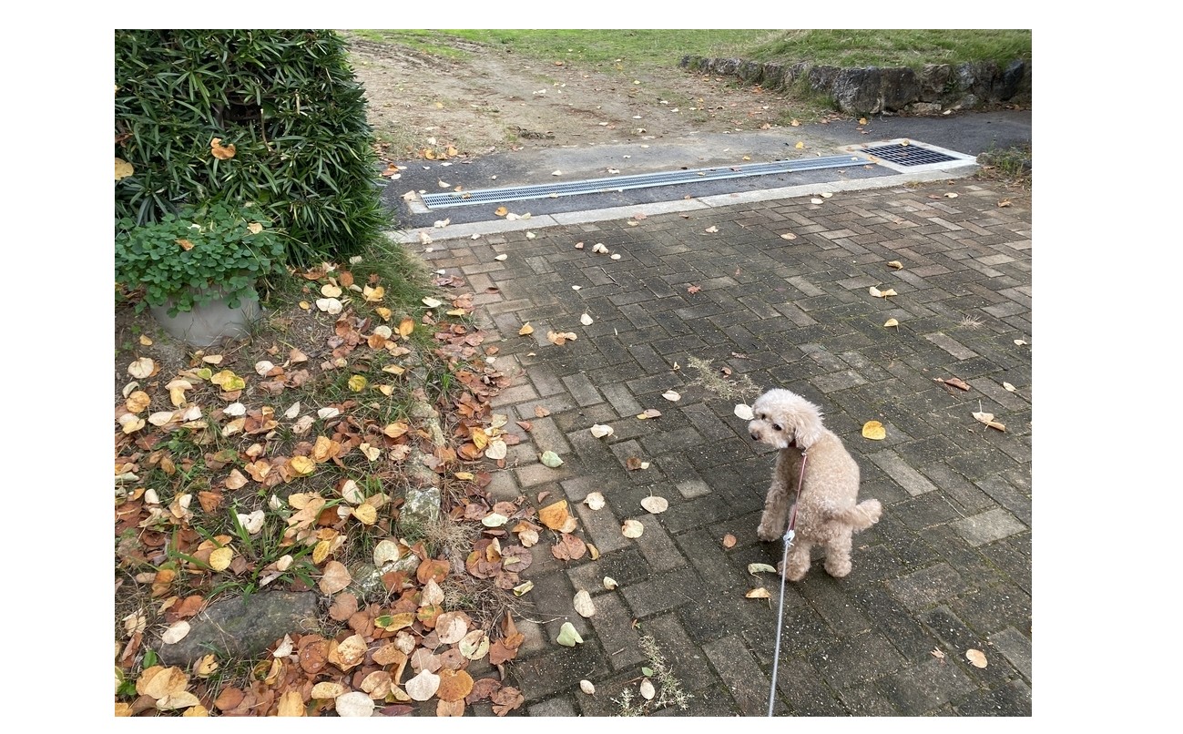 『営業の資質』