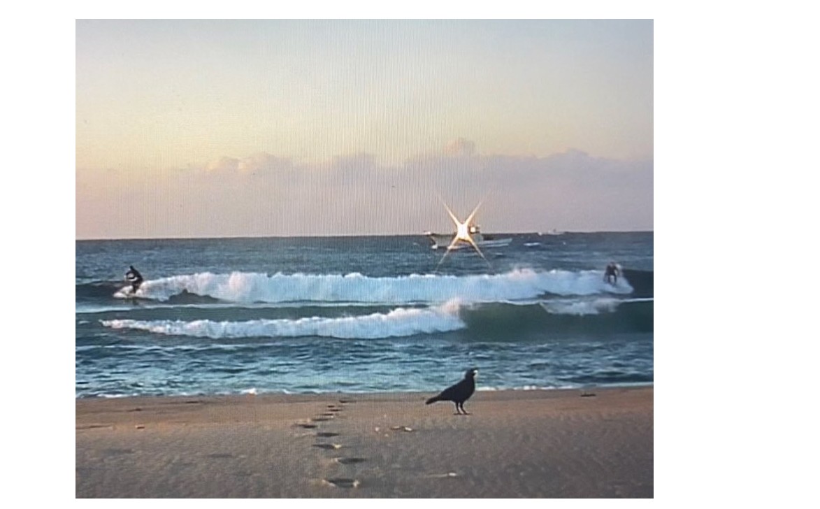 『ストレス発散』