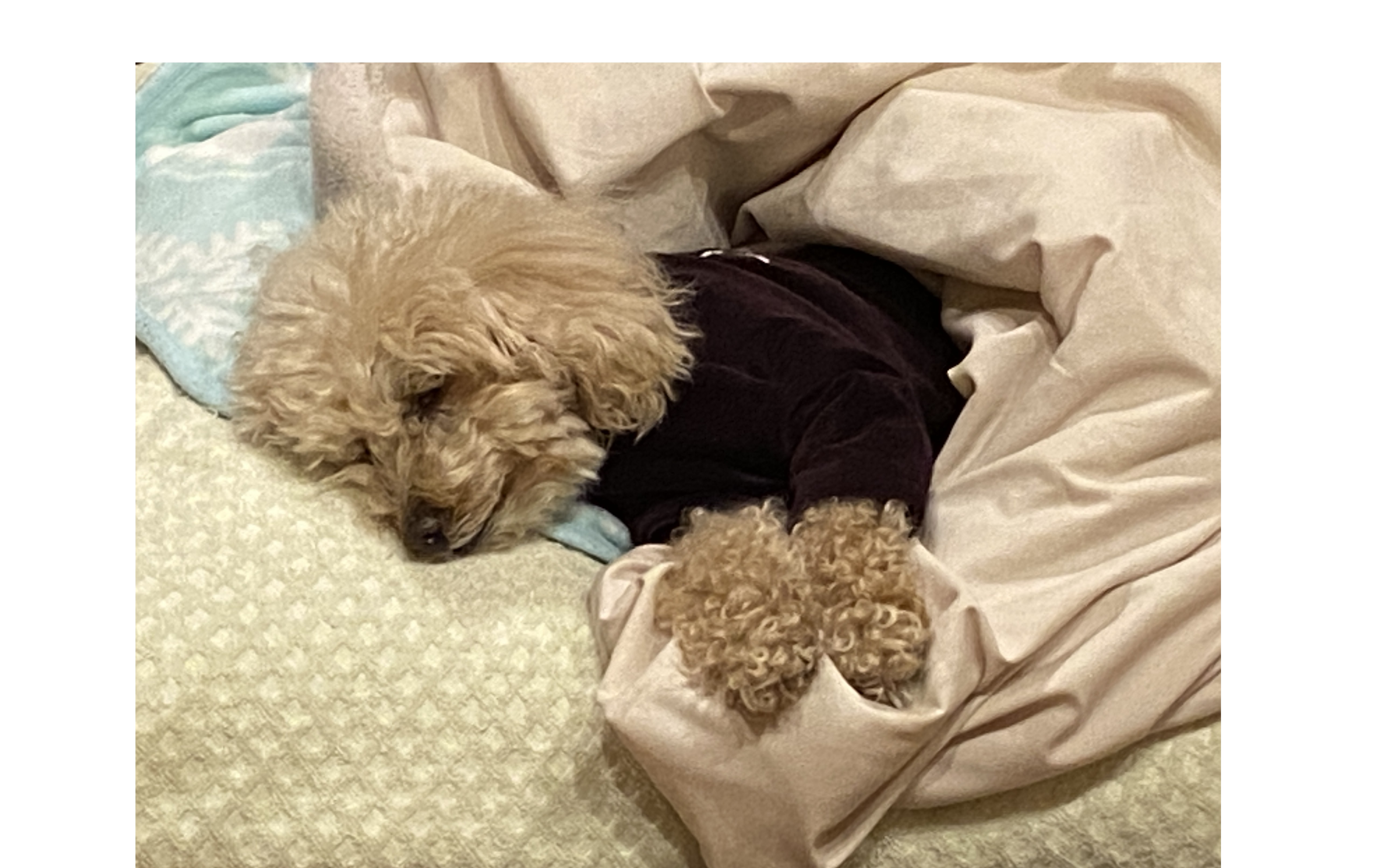 『仕組みづくり』