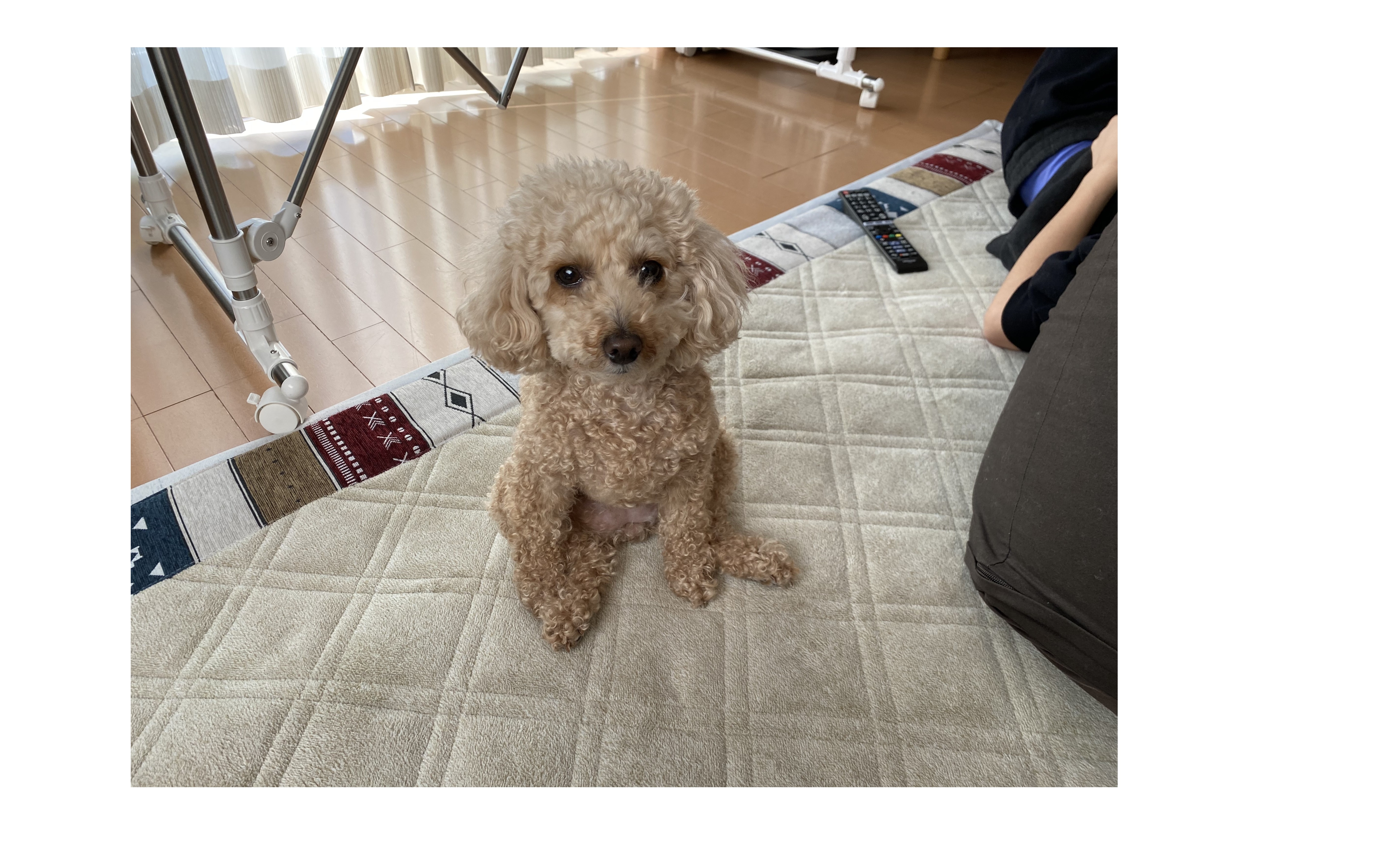 『よくやってたな・・・』