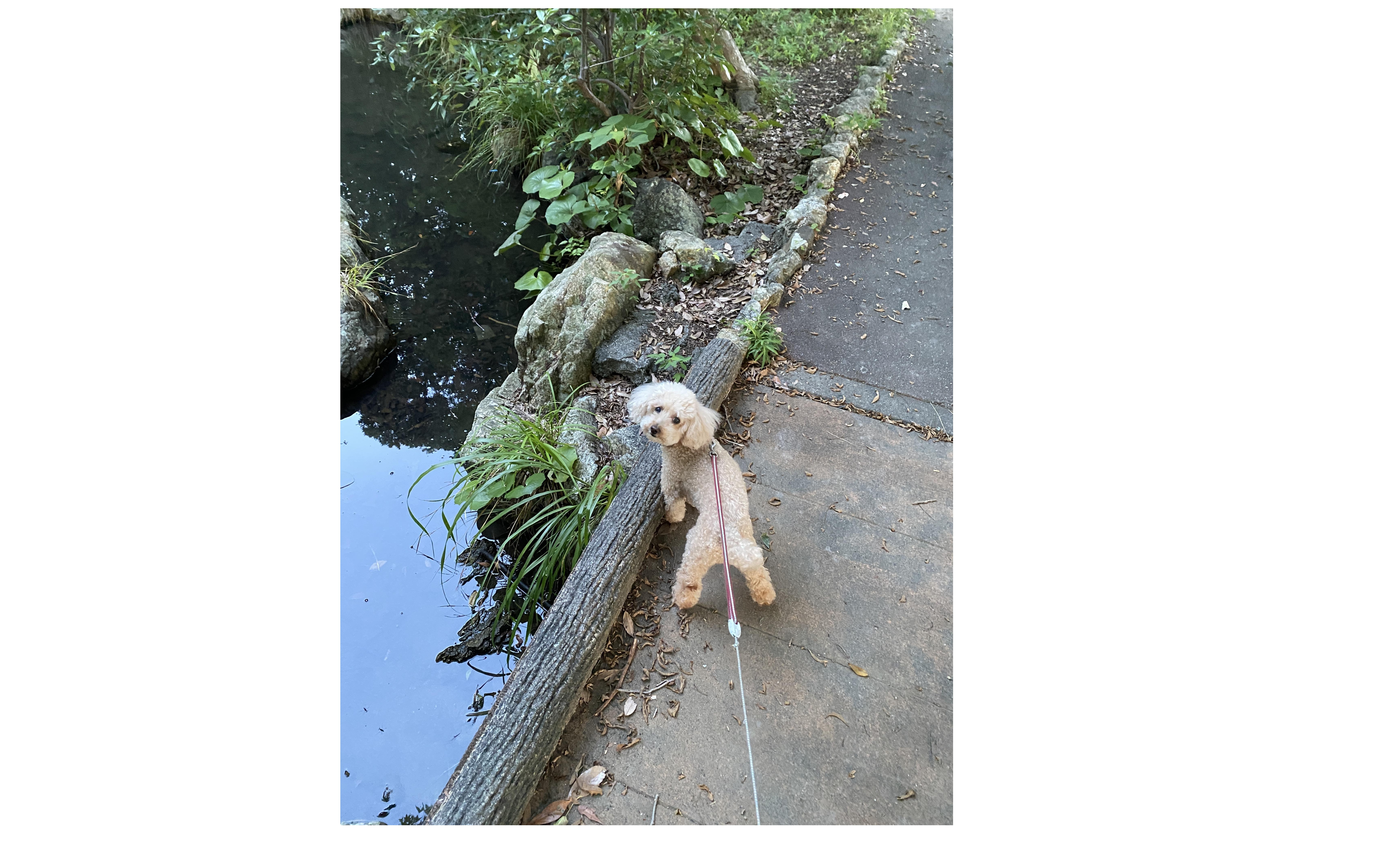 『リーダー育成』