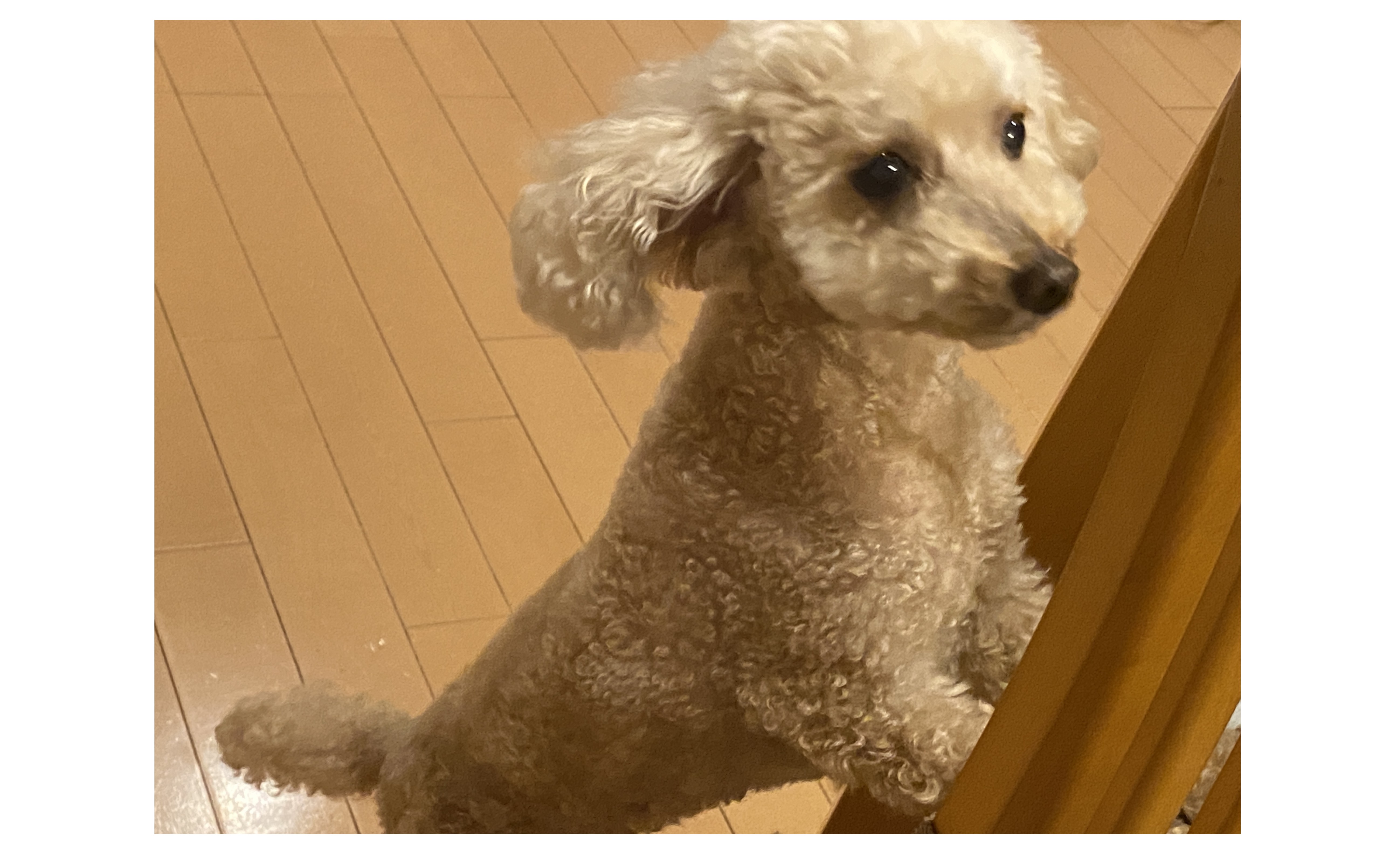 『遅い夏休みはいつになるやらｗｗｗ』