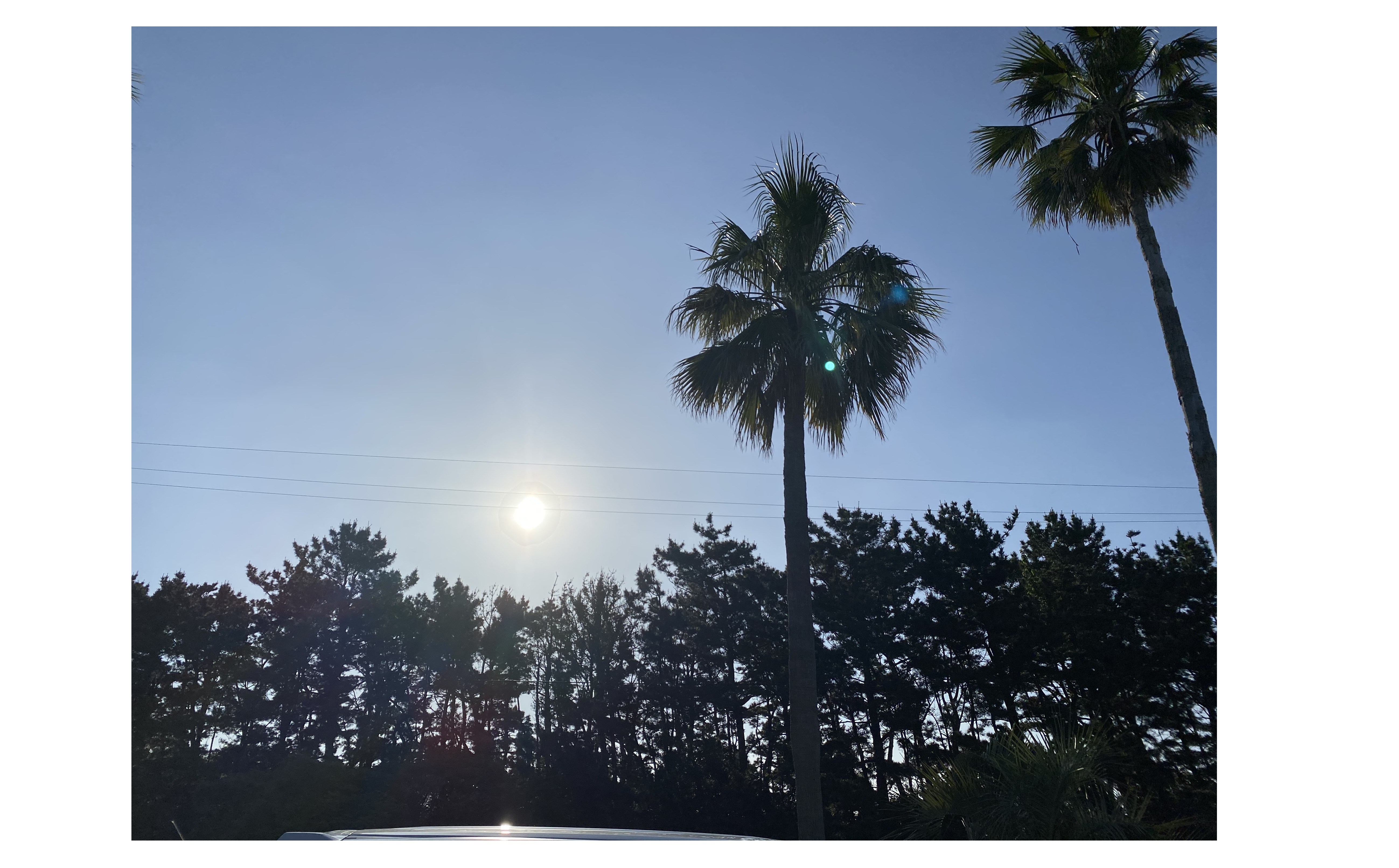 『仲間の為に尽くす』