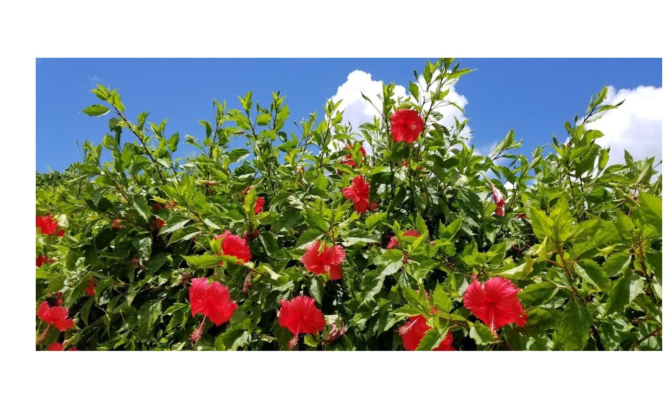 『自主的な人財の育成』