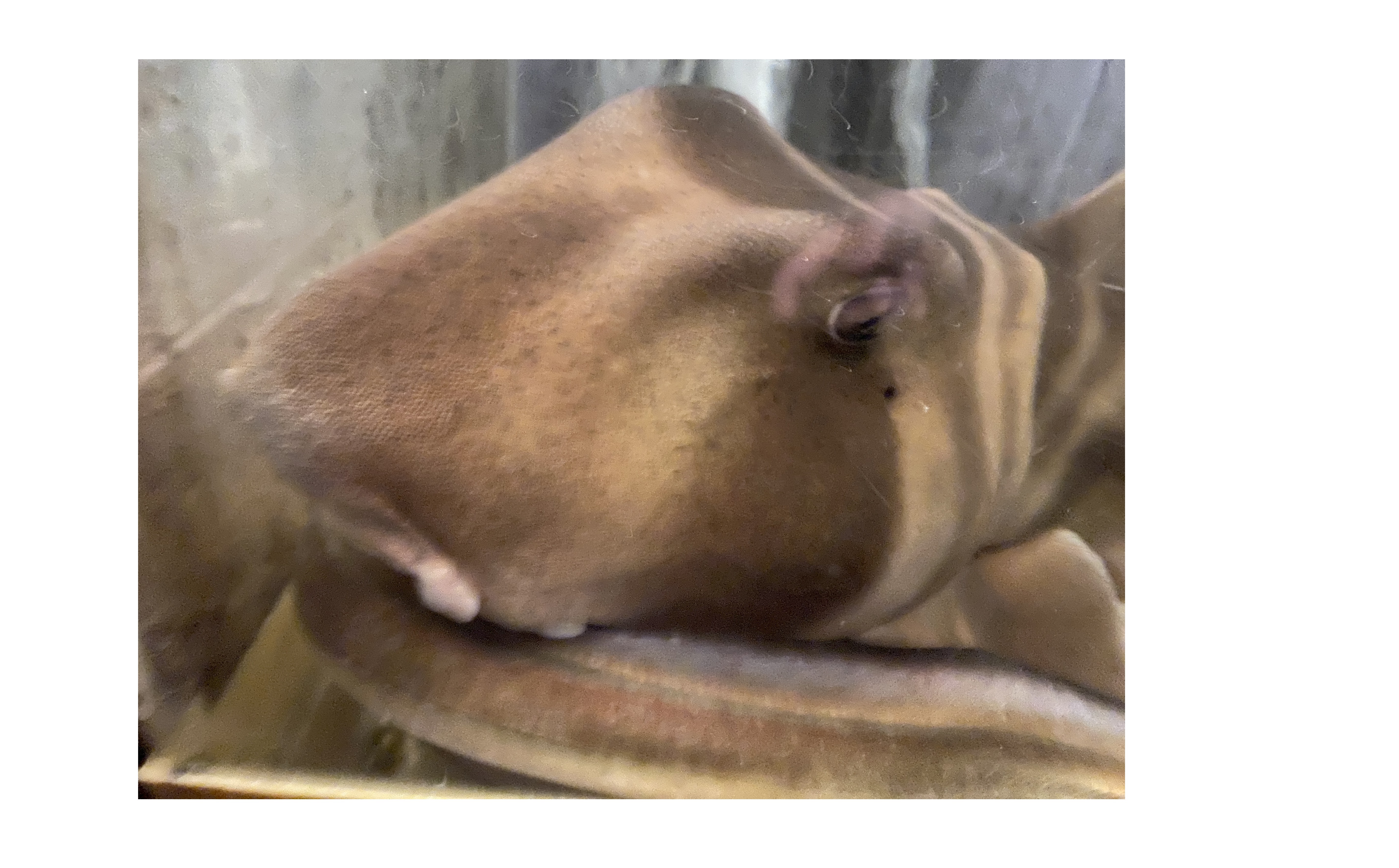 『不動産の悩み』