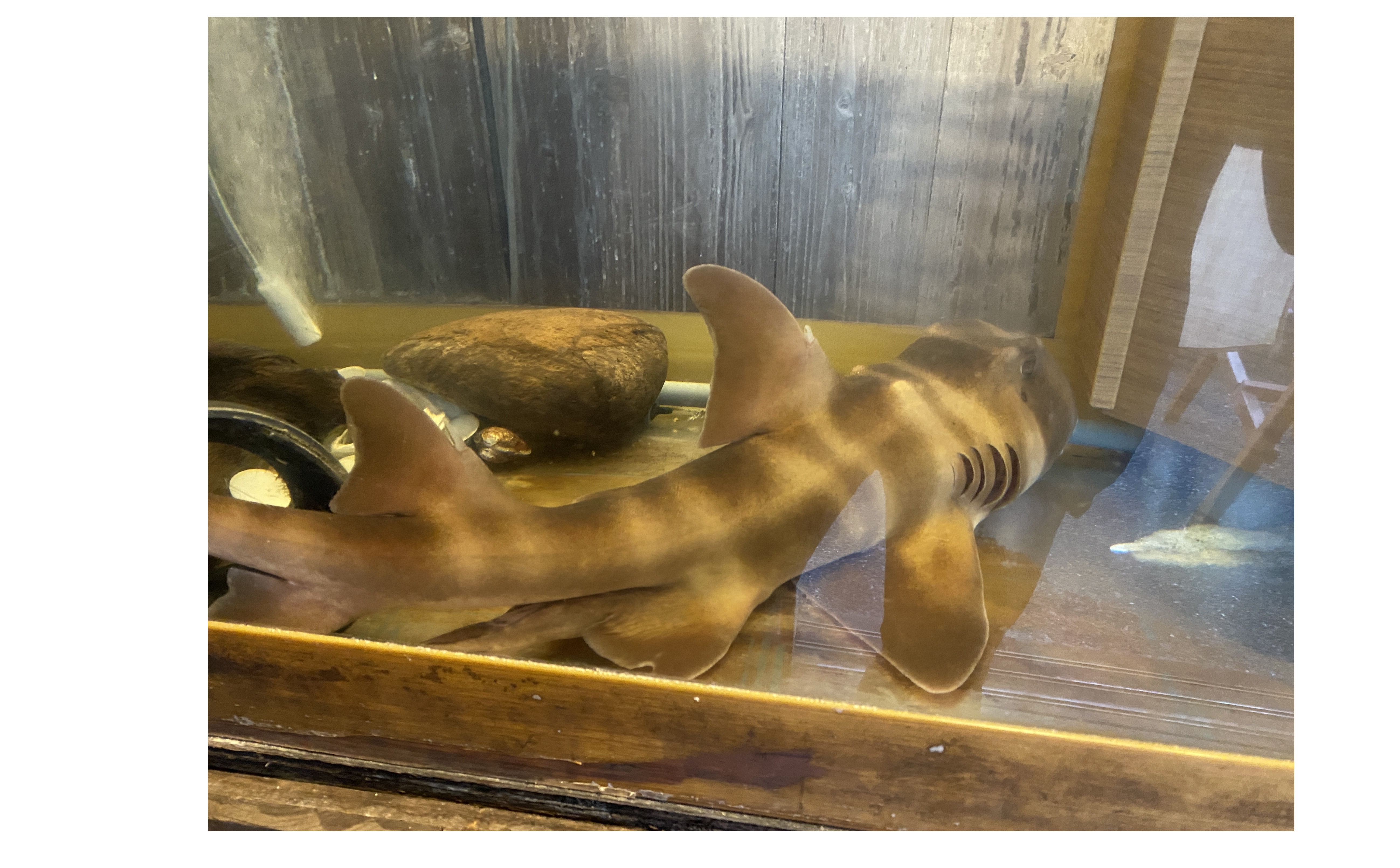 『恩師からの１４年前の教え』