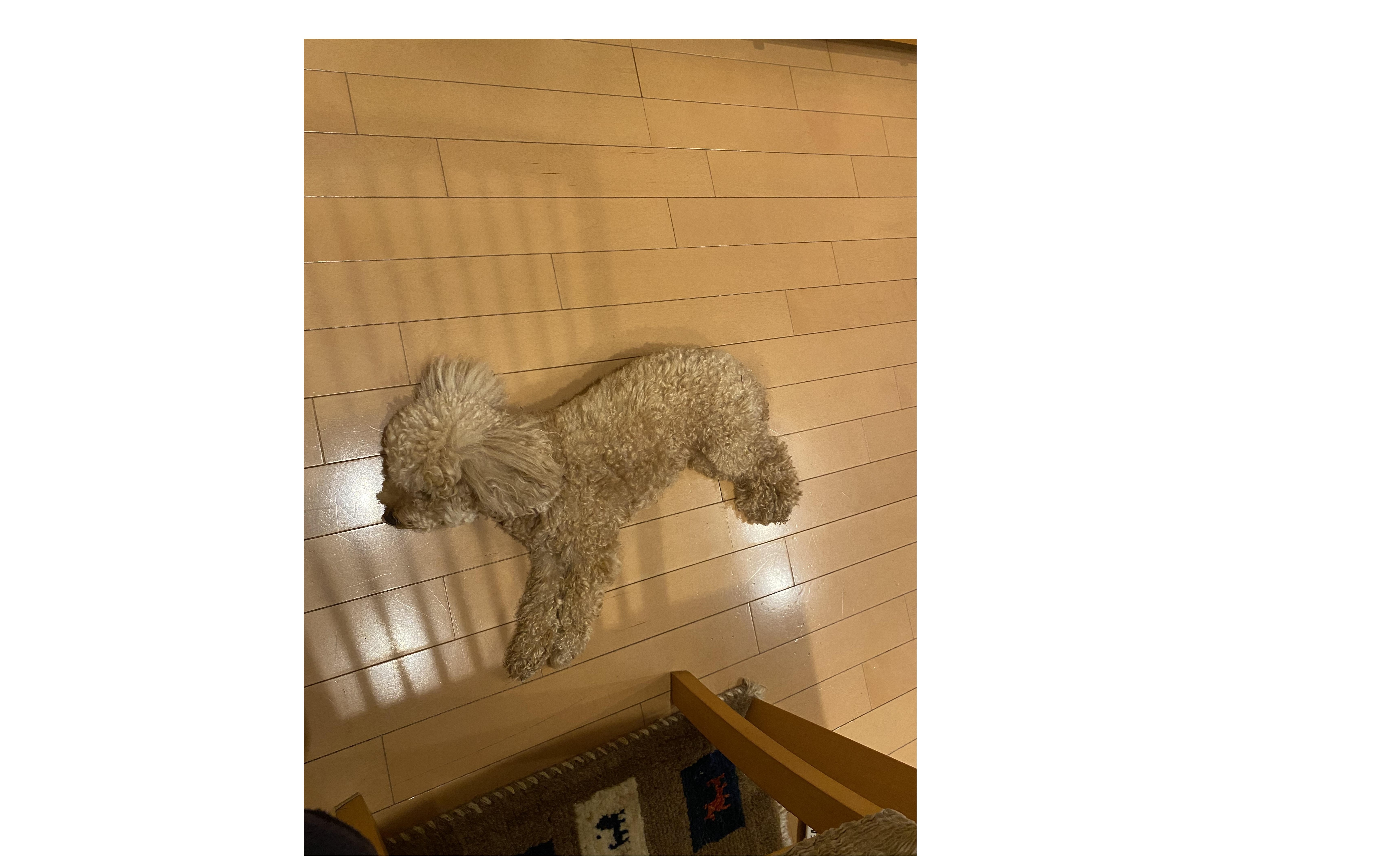 『社長の仕事』