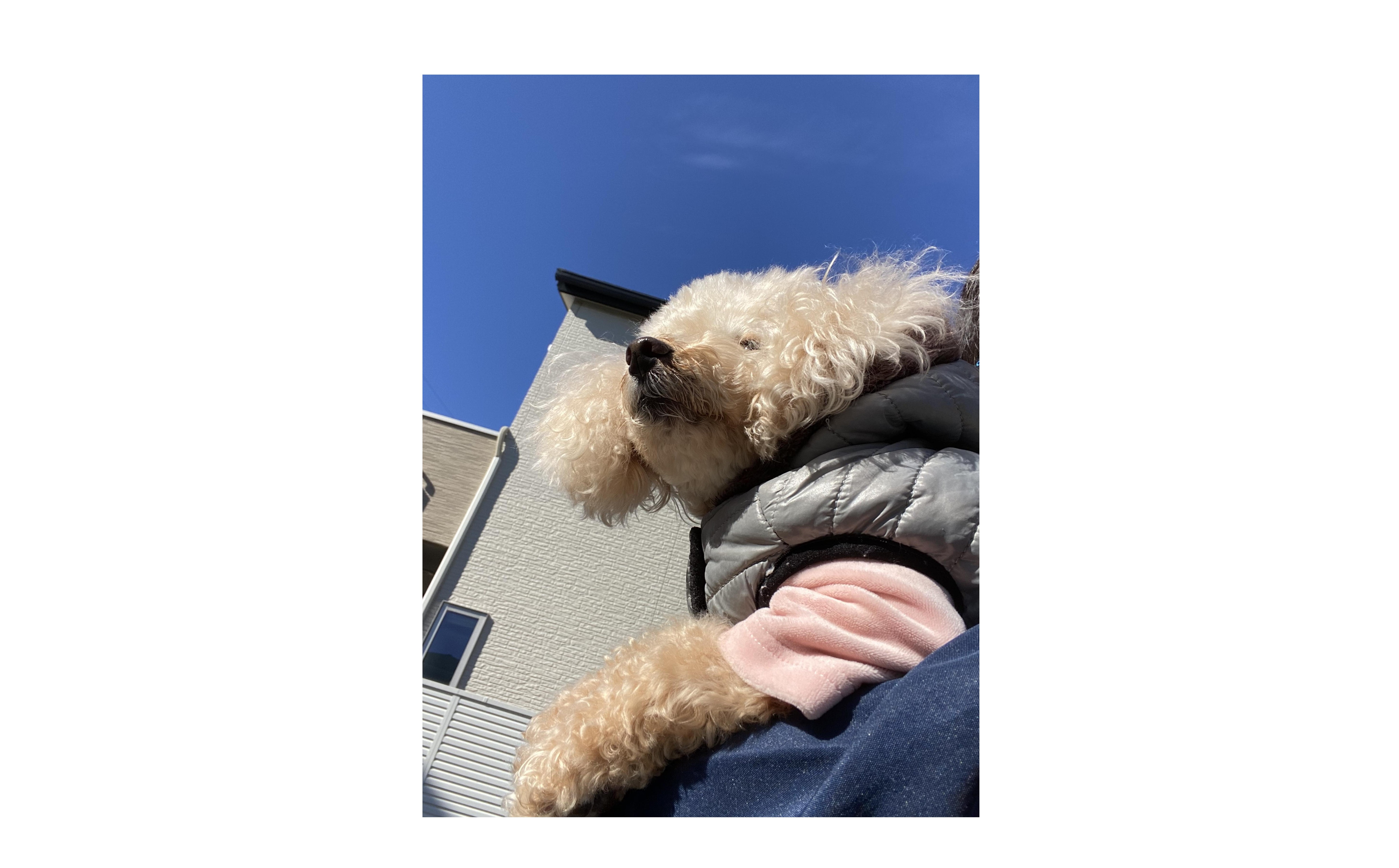 『素敵なサービス』