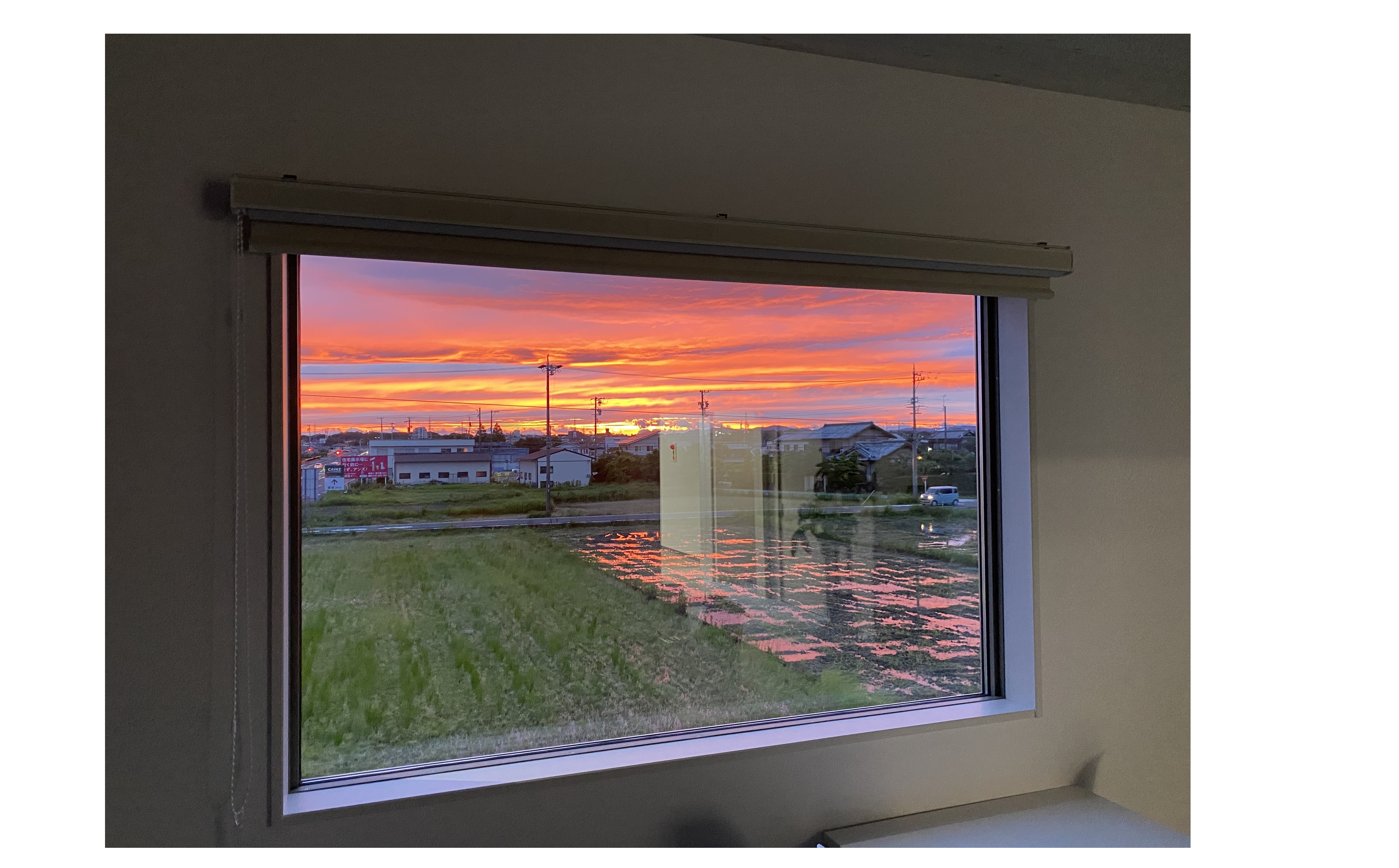 『自然のチカラ』