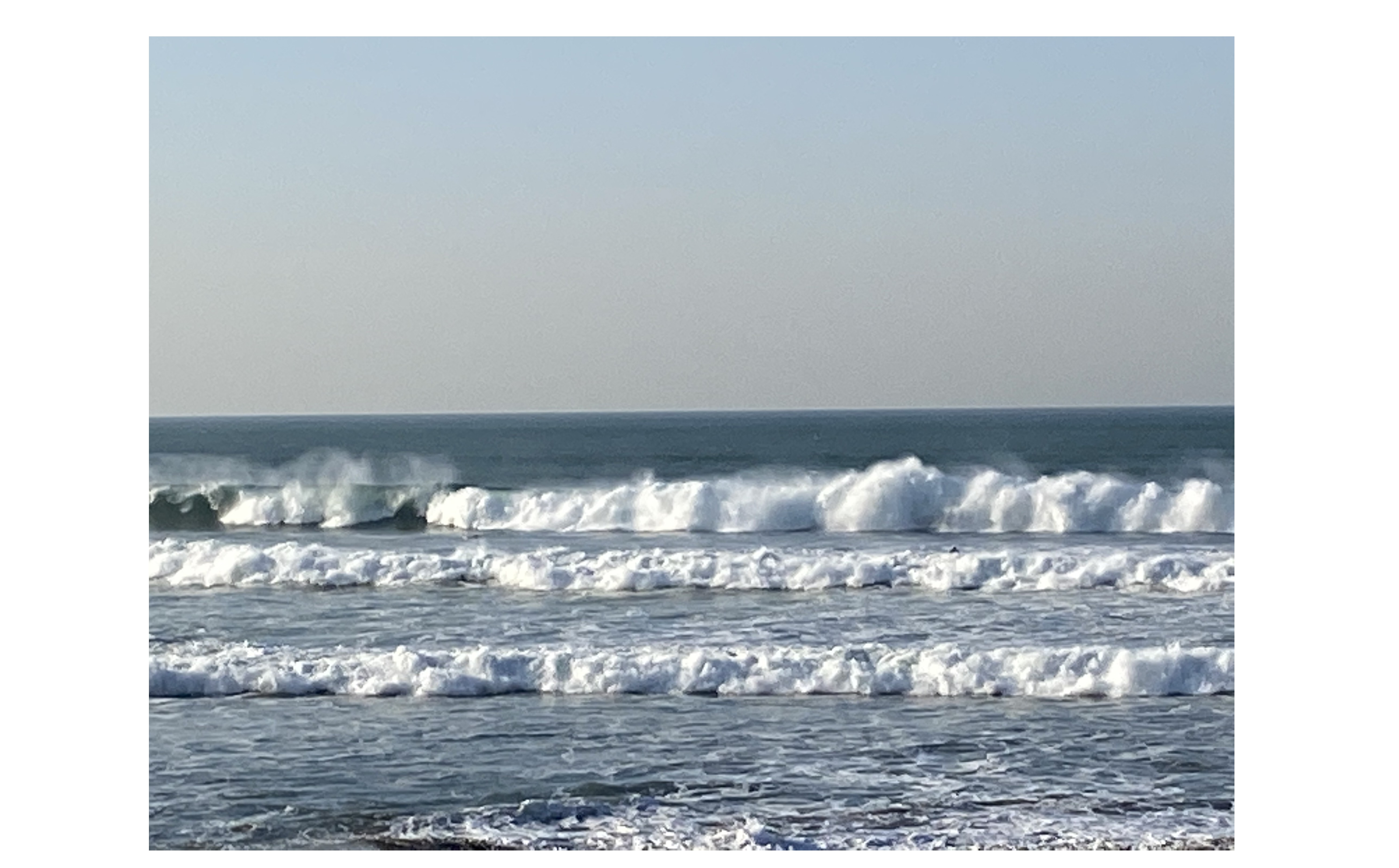 『コンサル支援の日』