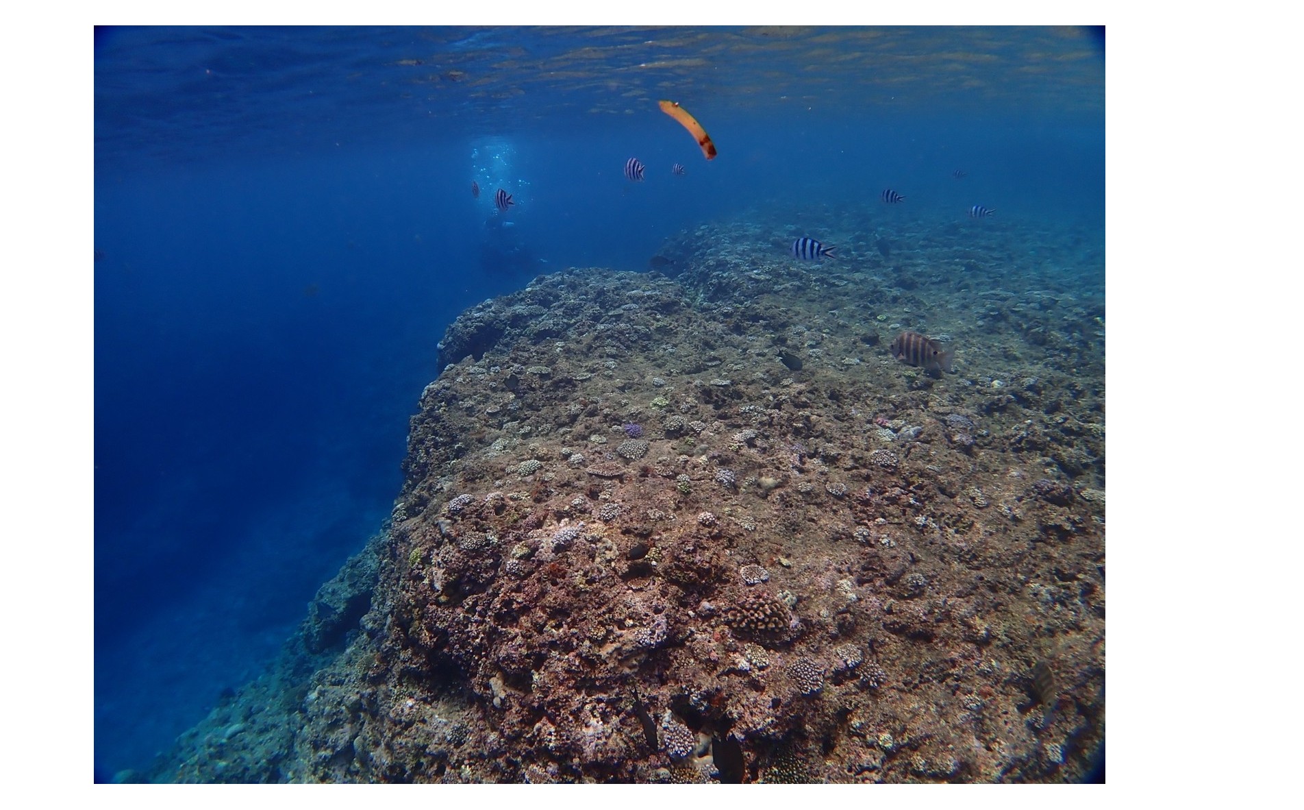 『不動産業界』