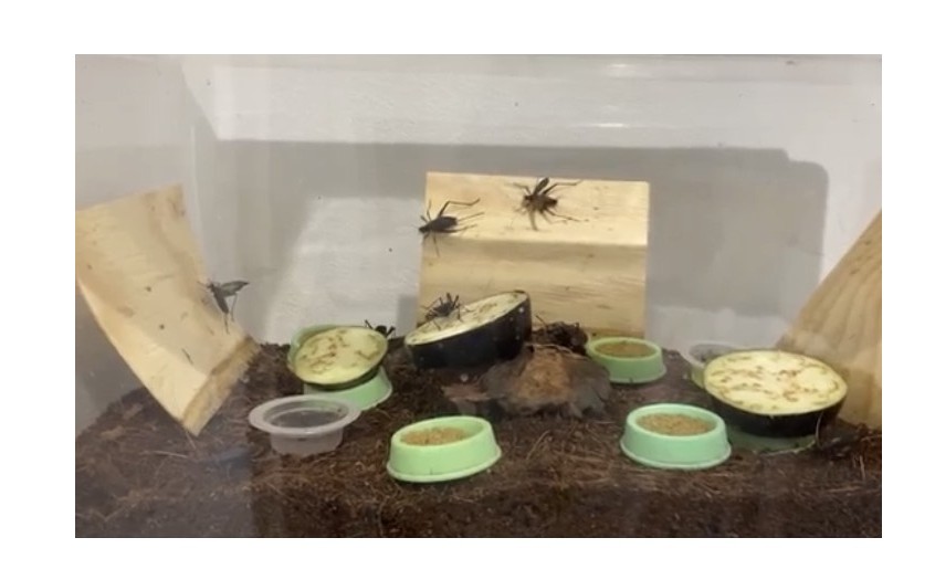 『関係性の質』