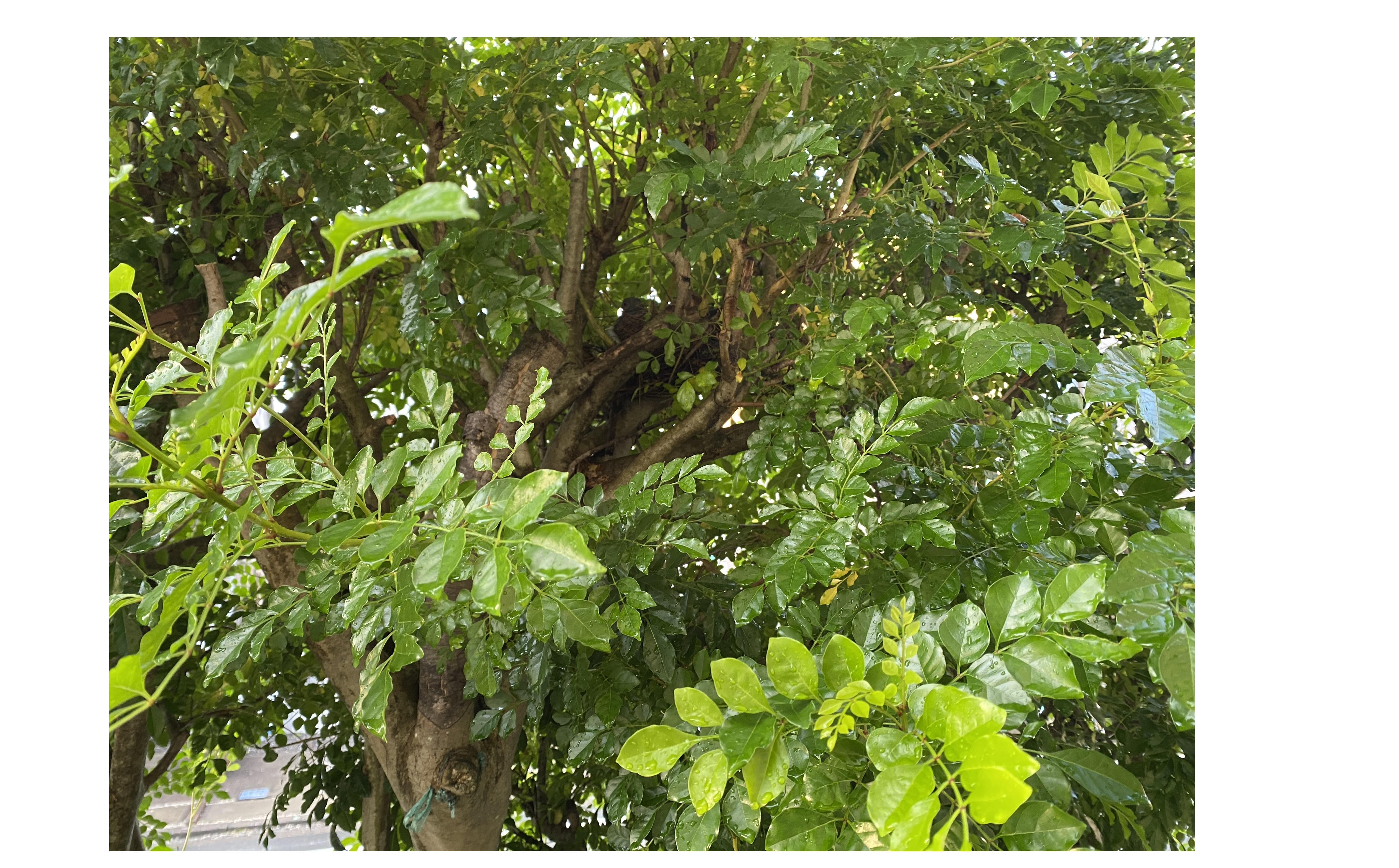 『すごく偉い人と、少し偉い人の違い』