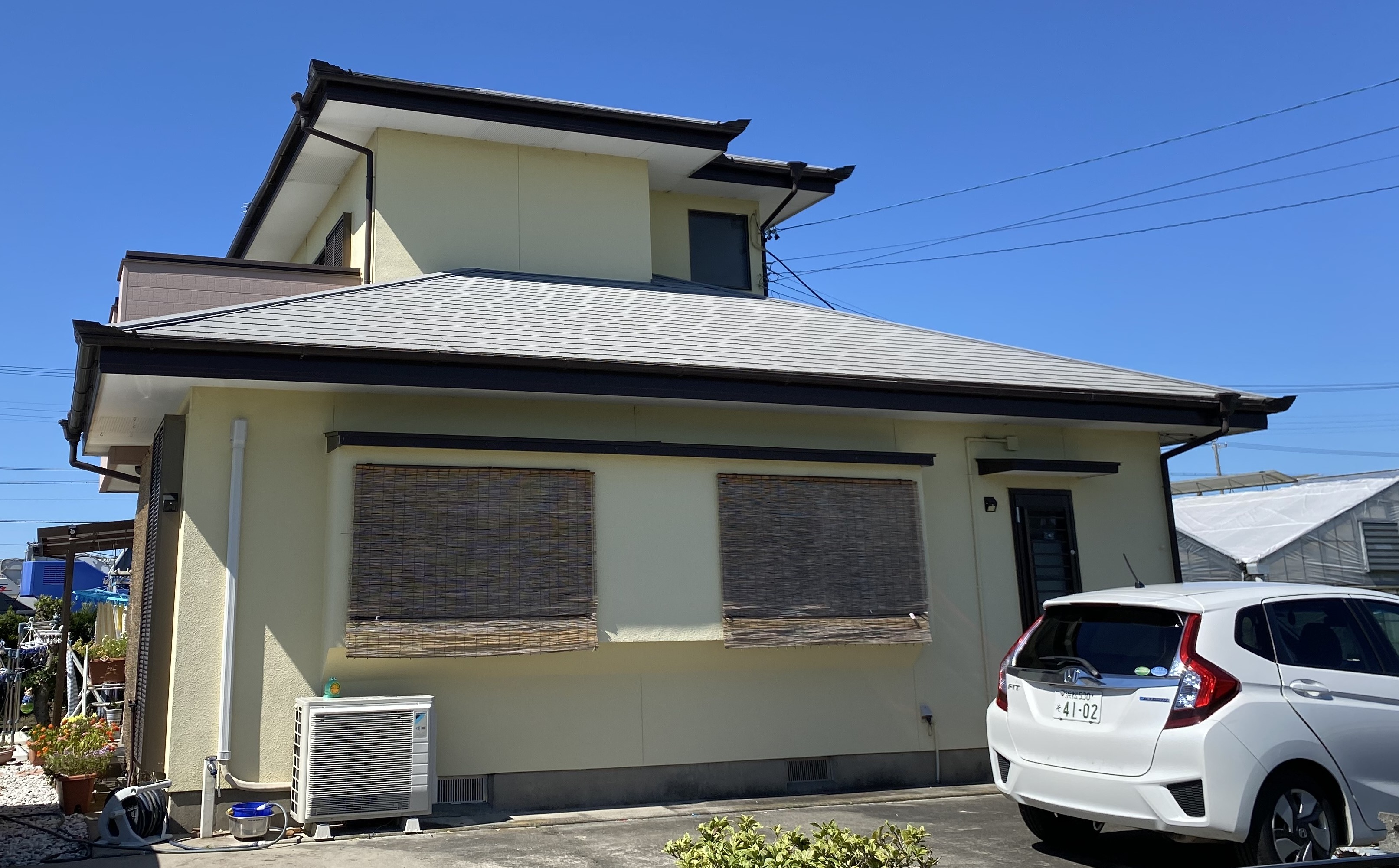 『ニュースレター』