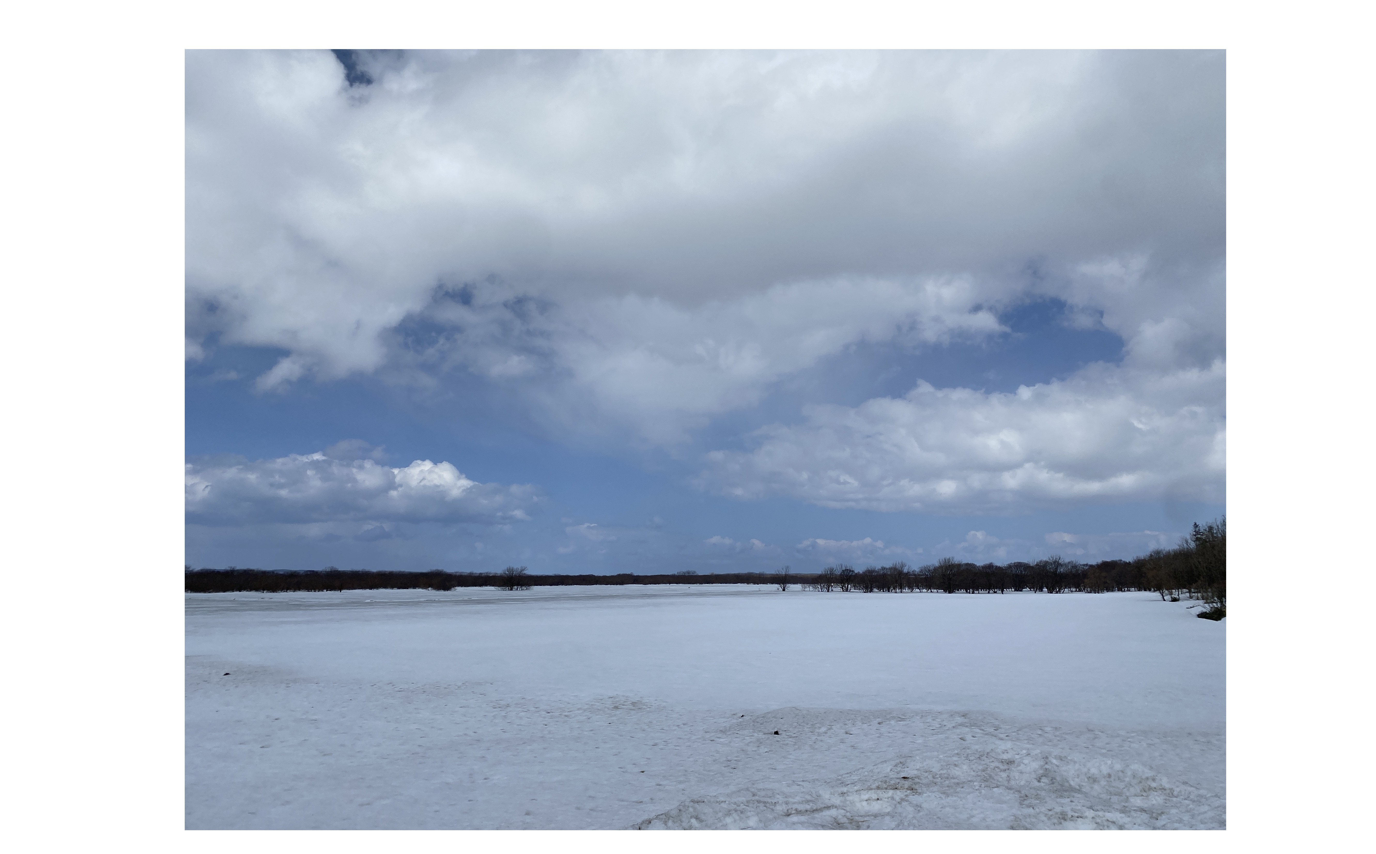 『目指せ浜松NO1』