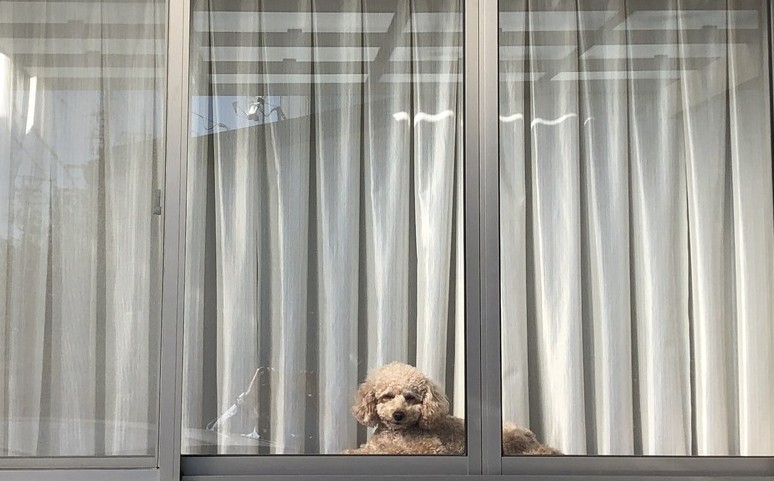 『リーダー育成』