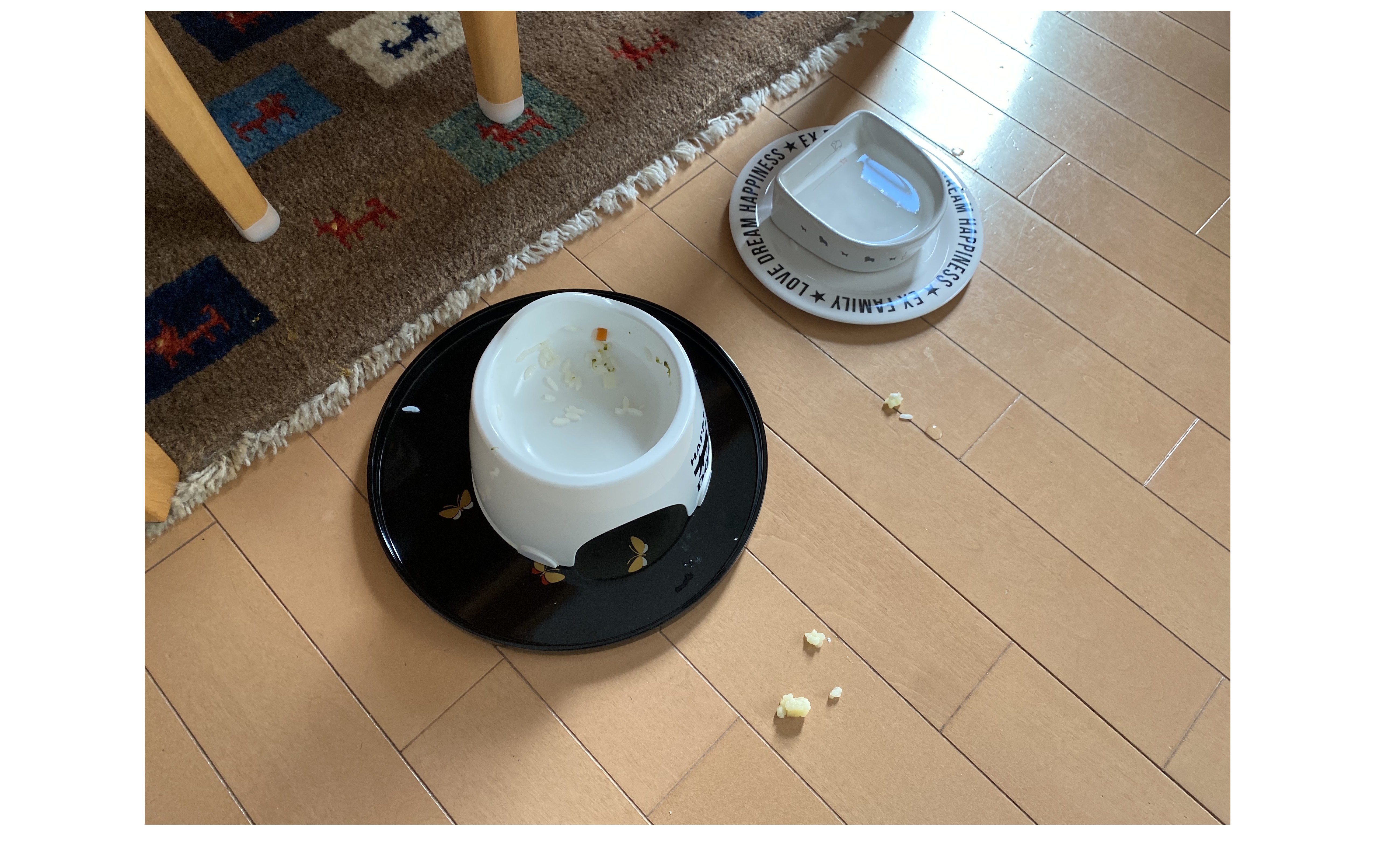 『食いしん坊』