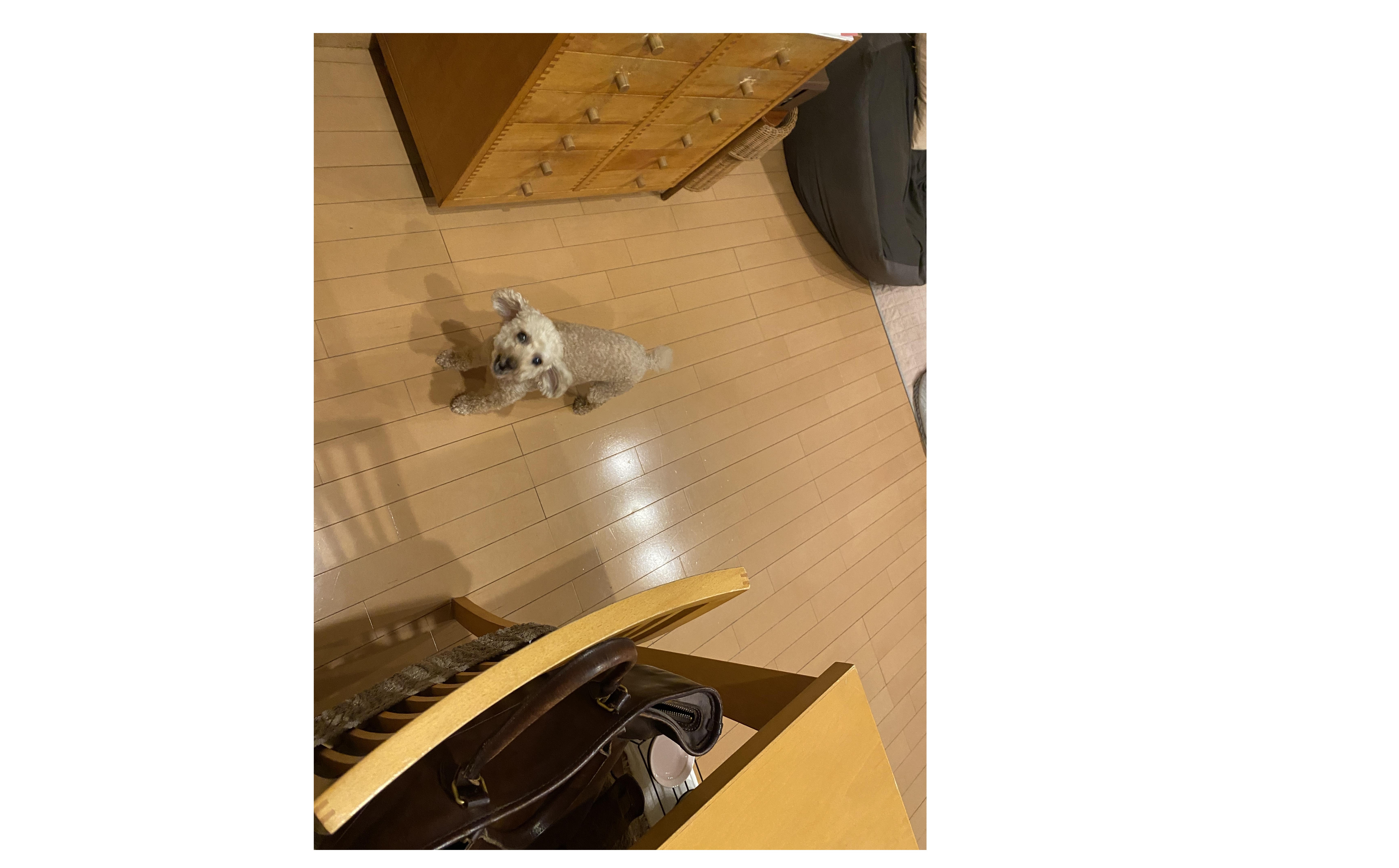 『手離れを覚悟する』