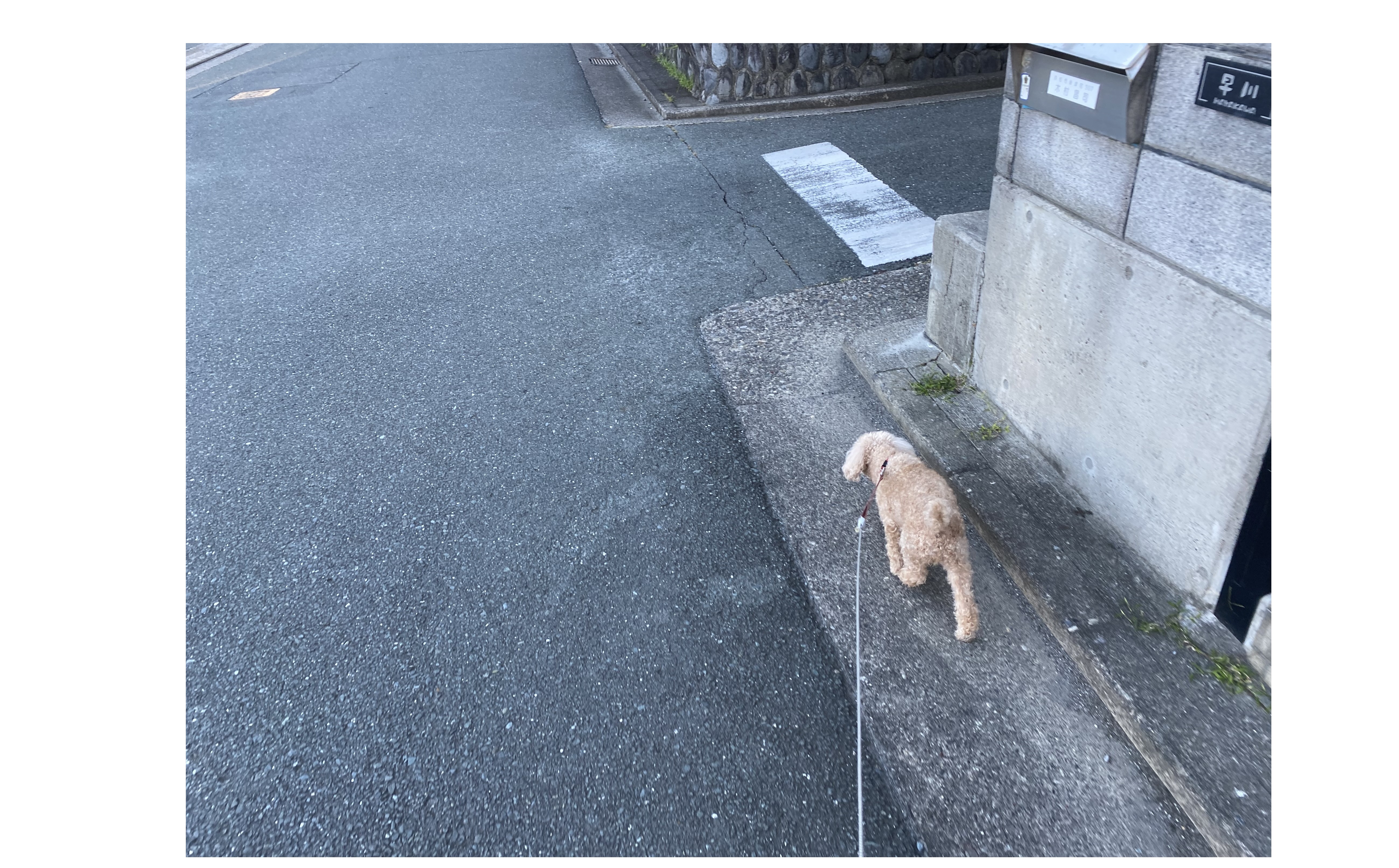 『全社員朝礼』