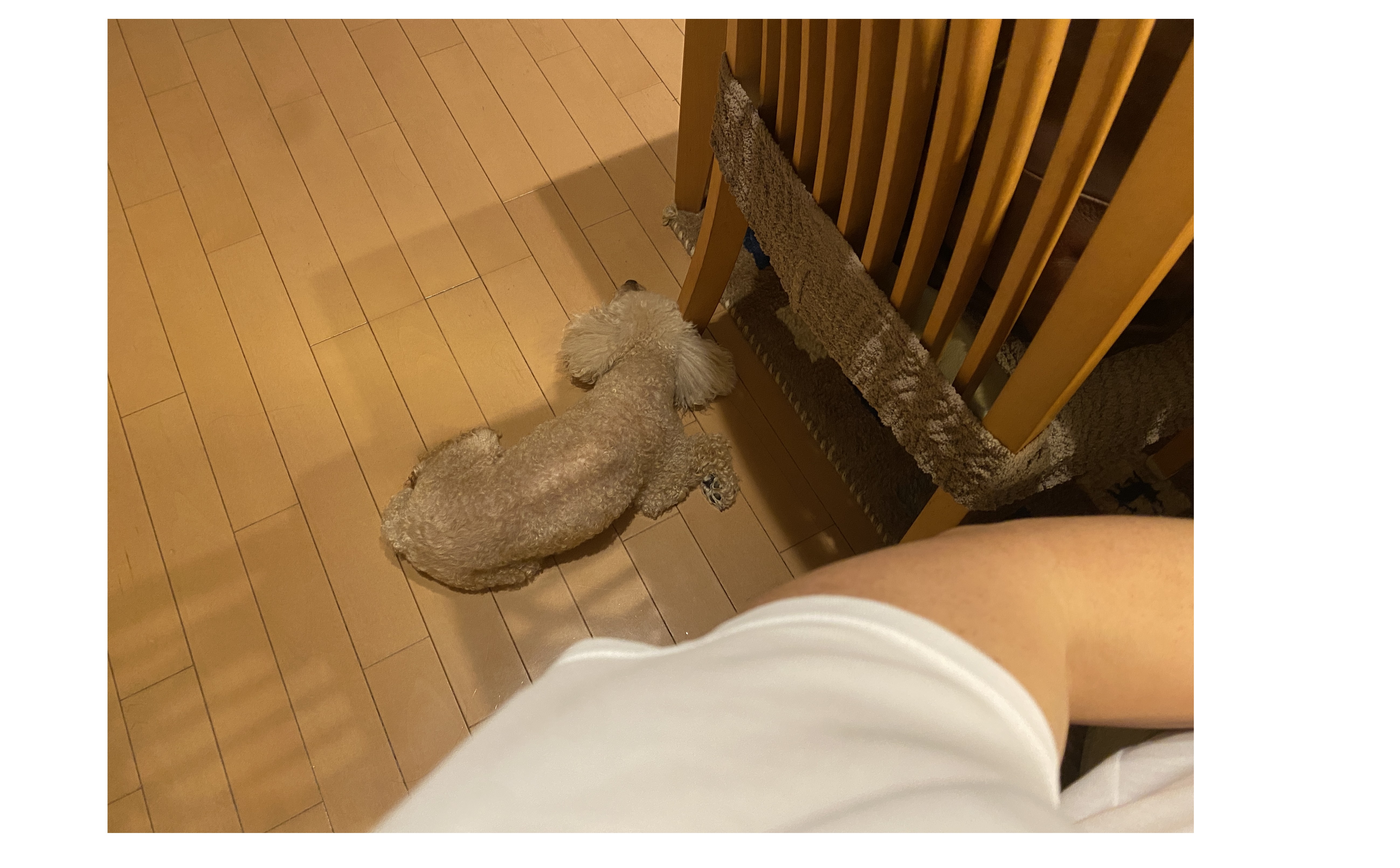 『明日はきっと・・・』