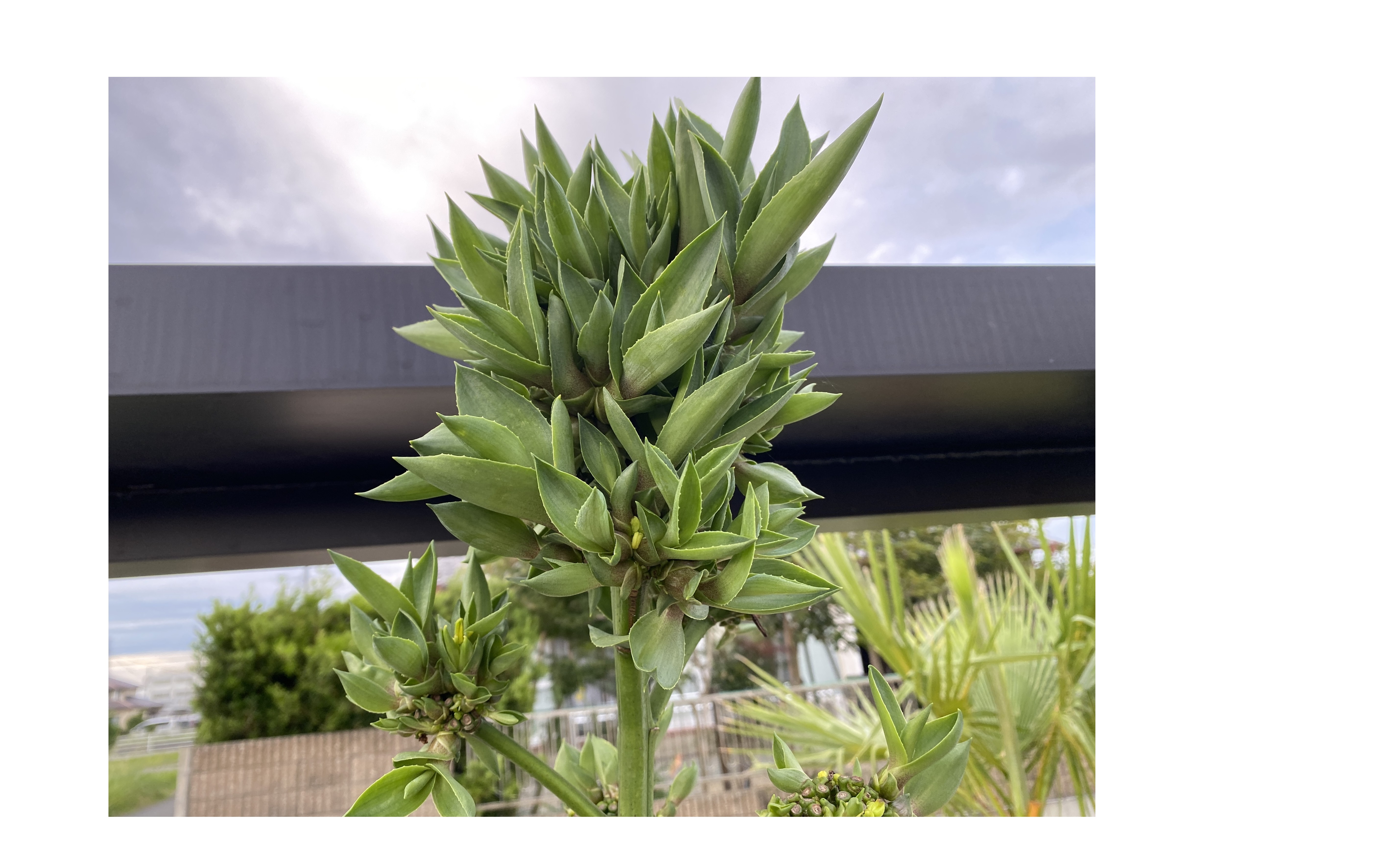 『やっている事は同じ』