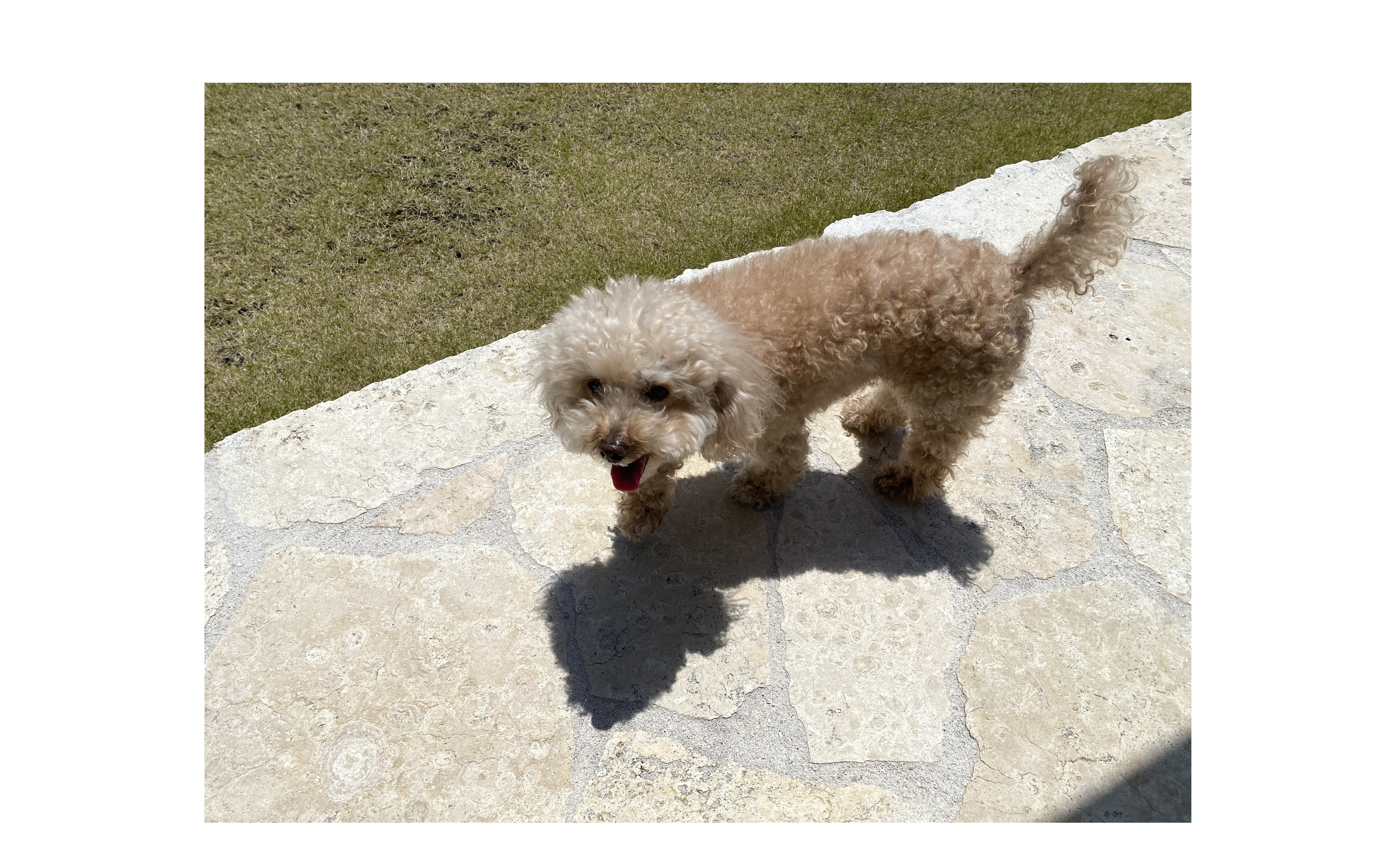 『suidobi マインド』