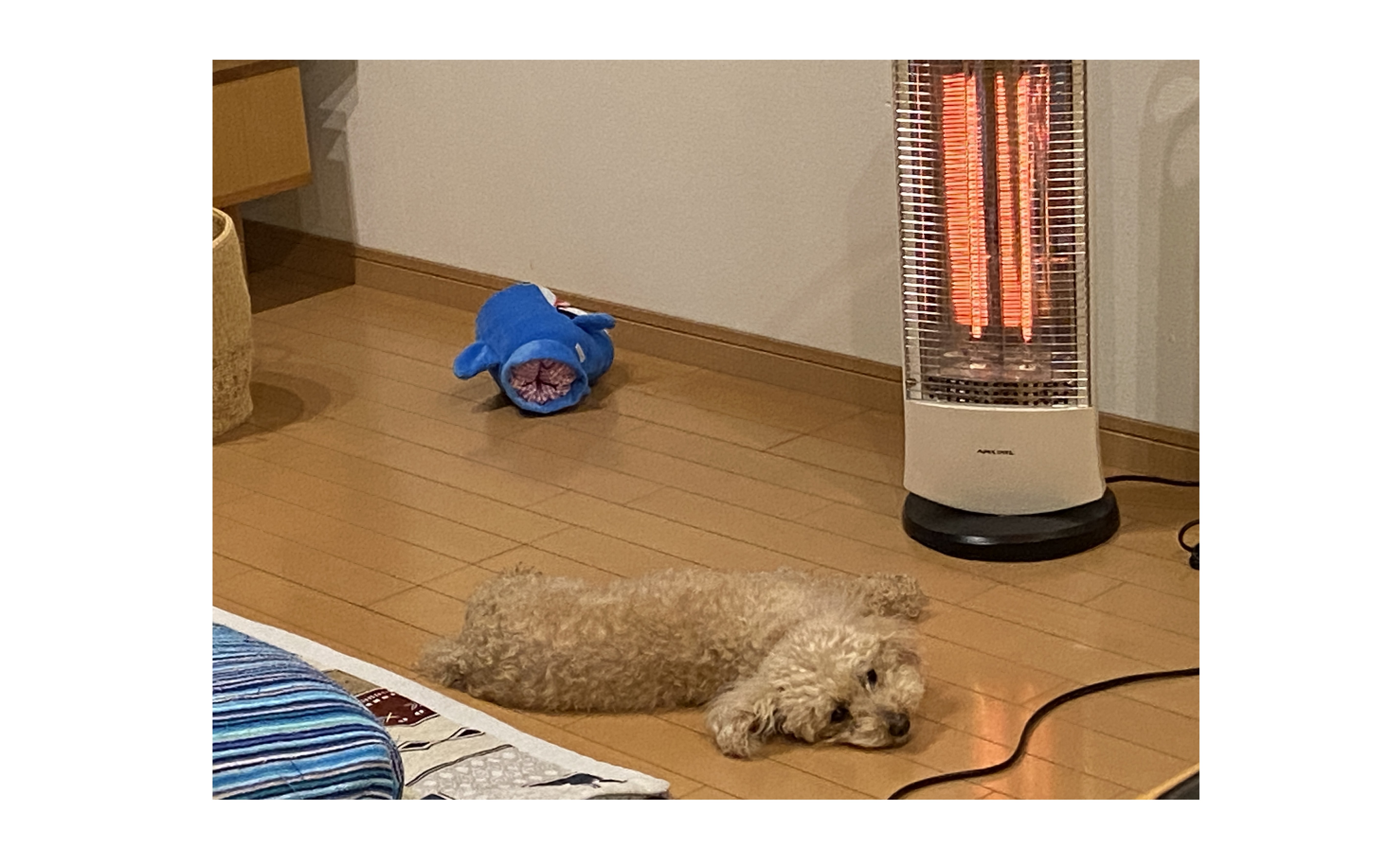 『留守番　DAY１』